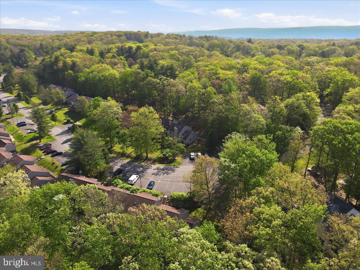 MILL POND (SAW CREEK) - Residential