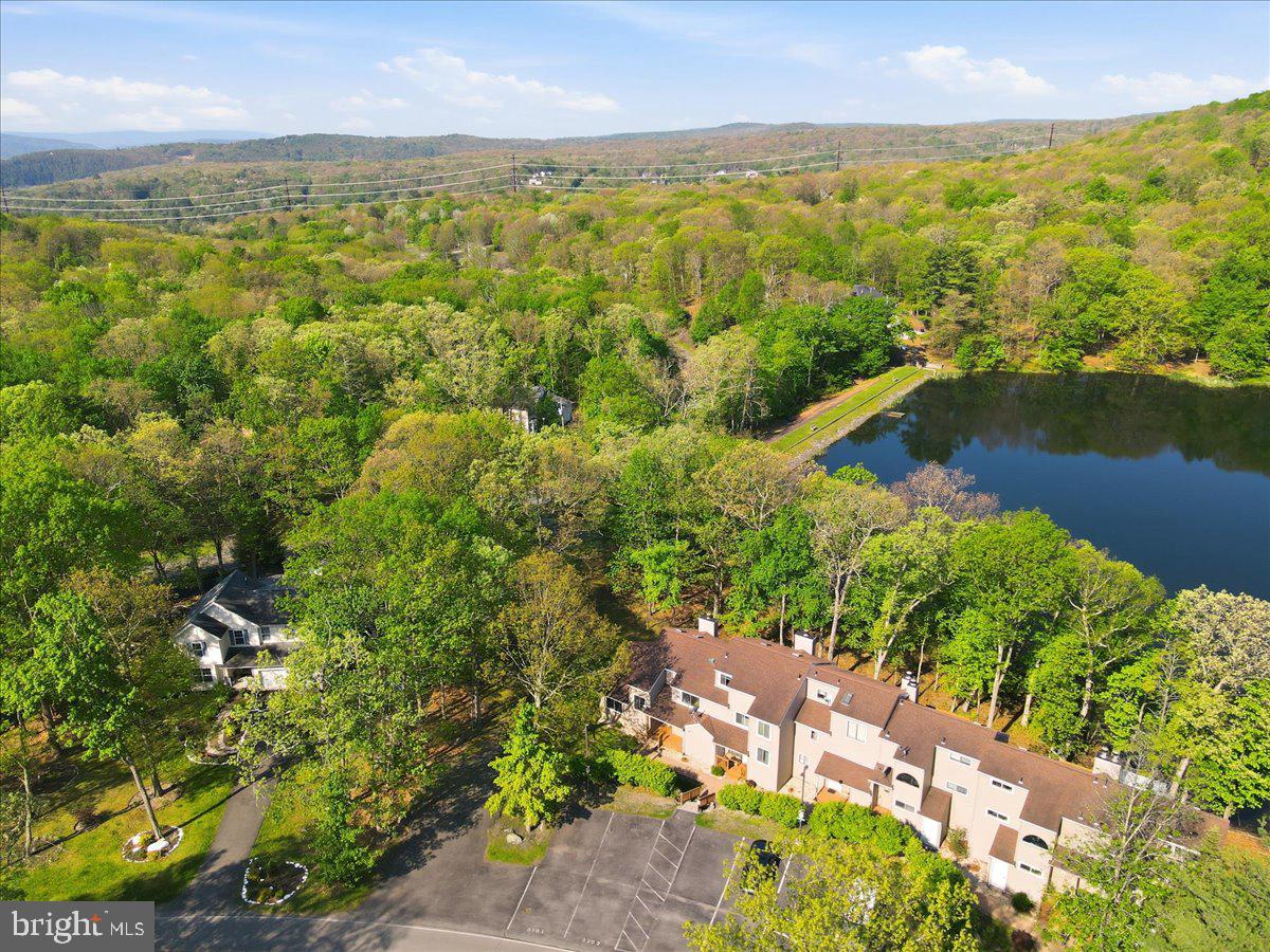 MILL POND (SAW CREEK) - Residential