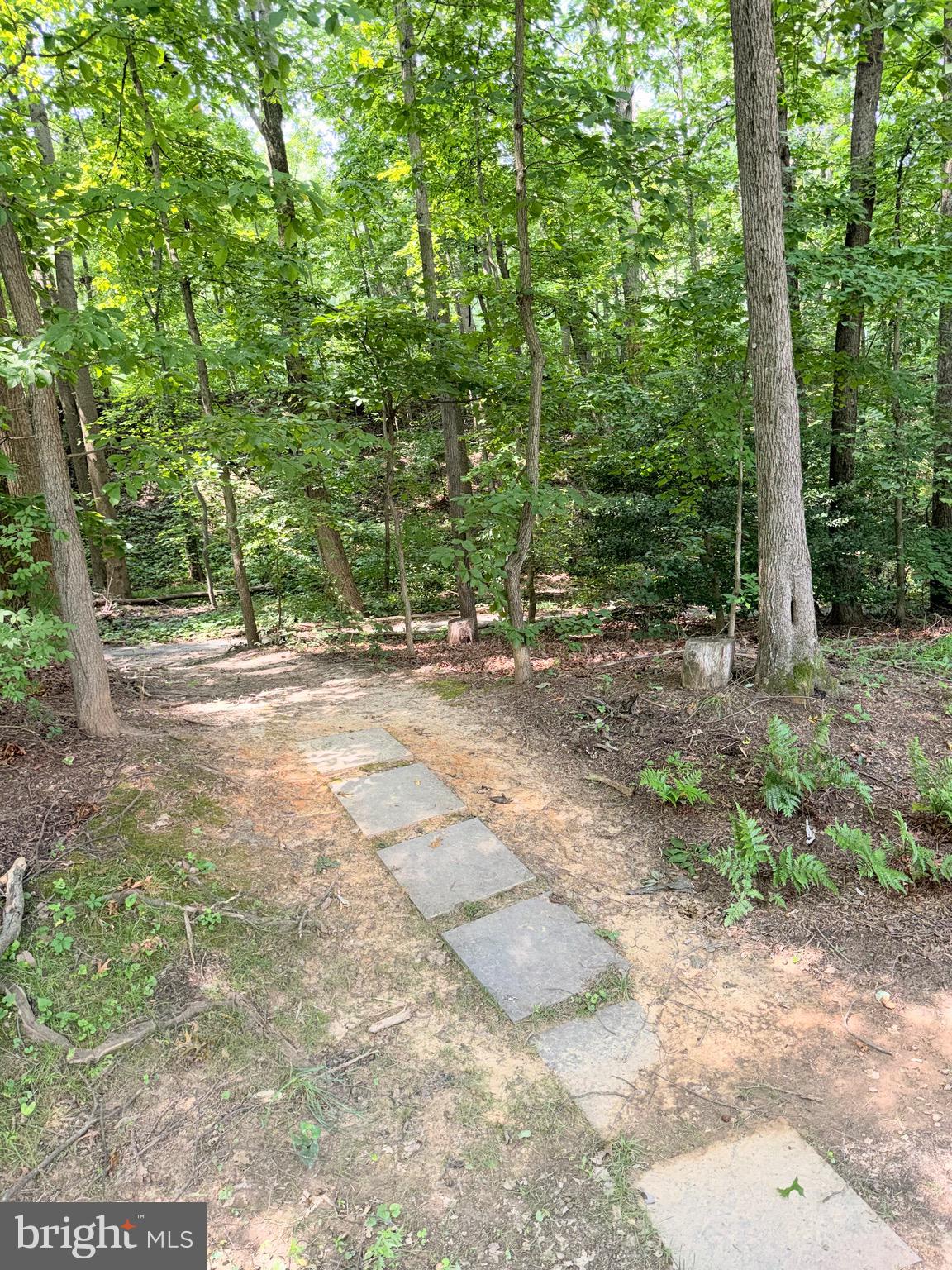 BURKE COVE - Residential