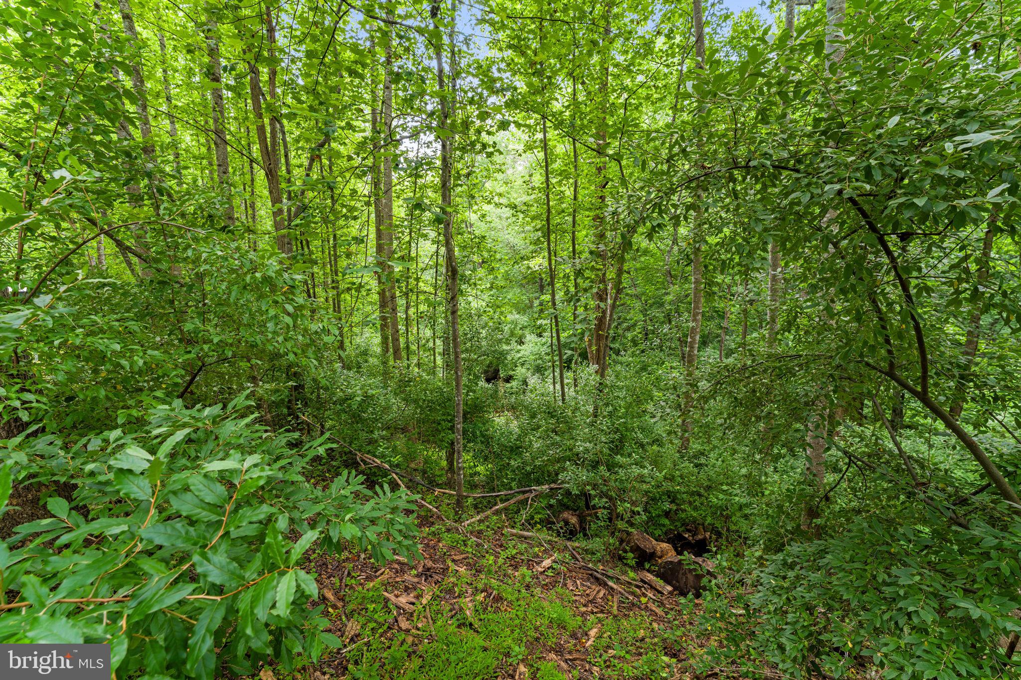 QUAIL RIDGE - Residential