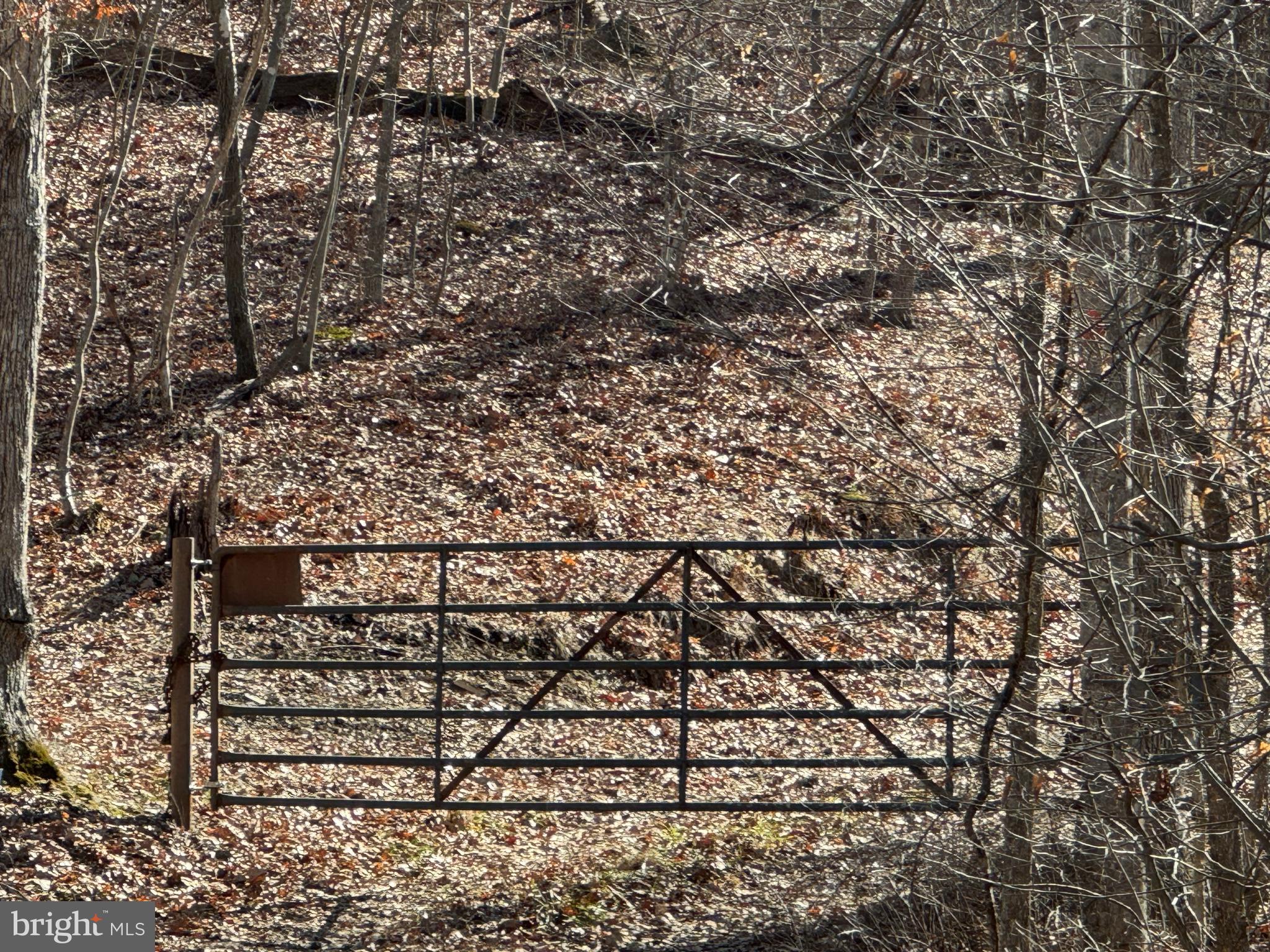 BACK CREEK HEIGHTS - Land