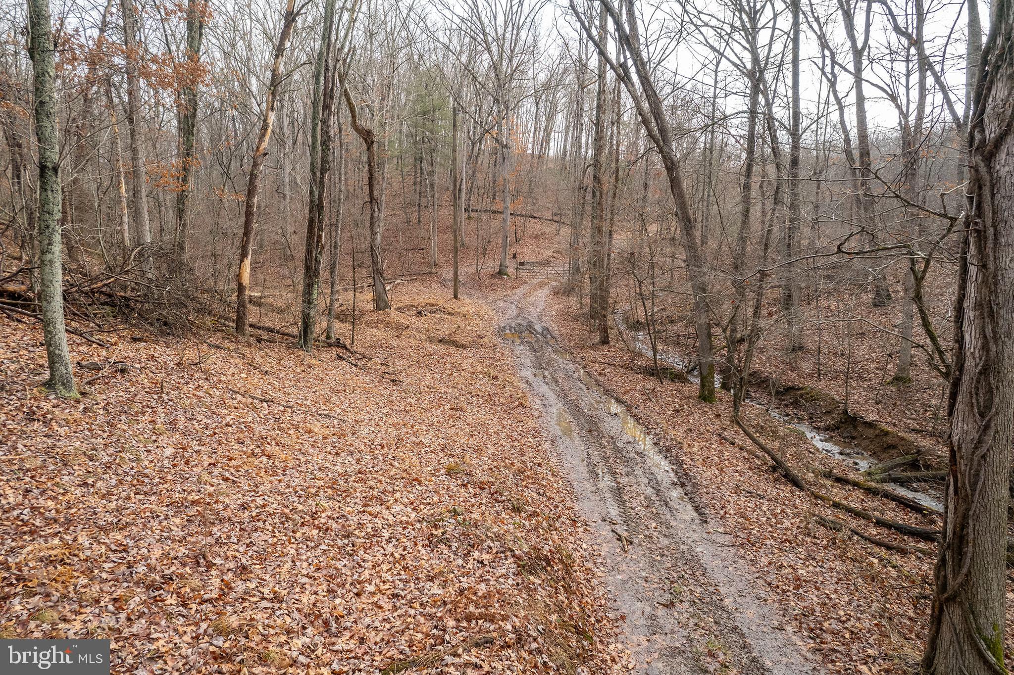 BACK CREEK HEIGHTS - Land