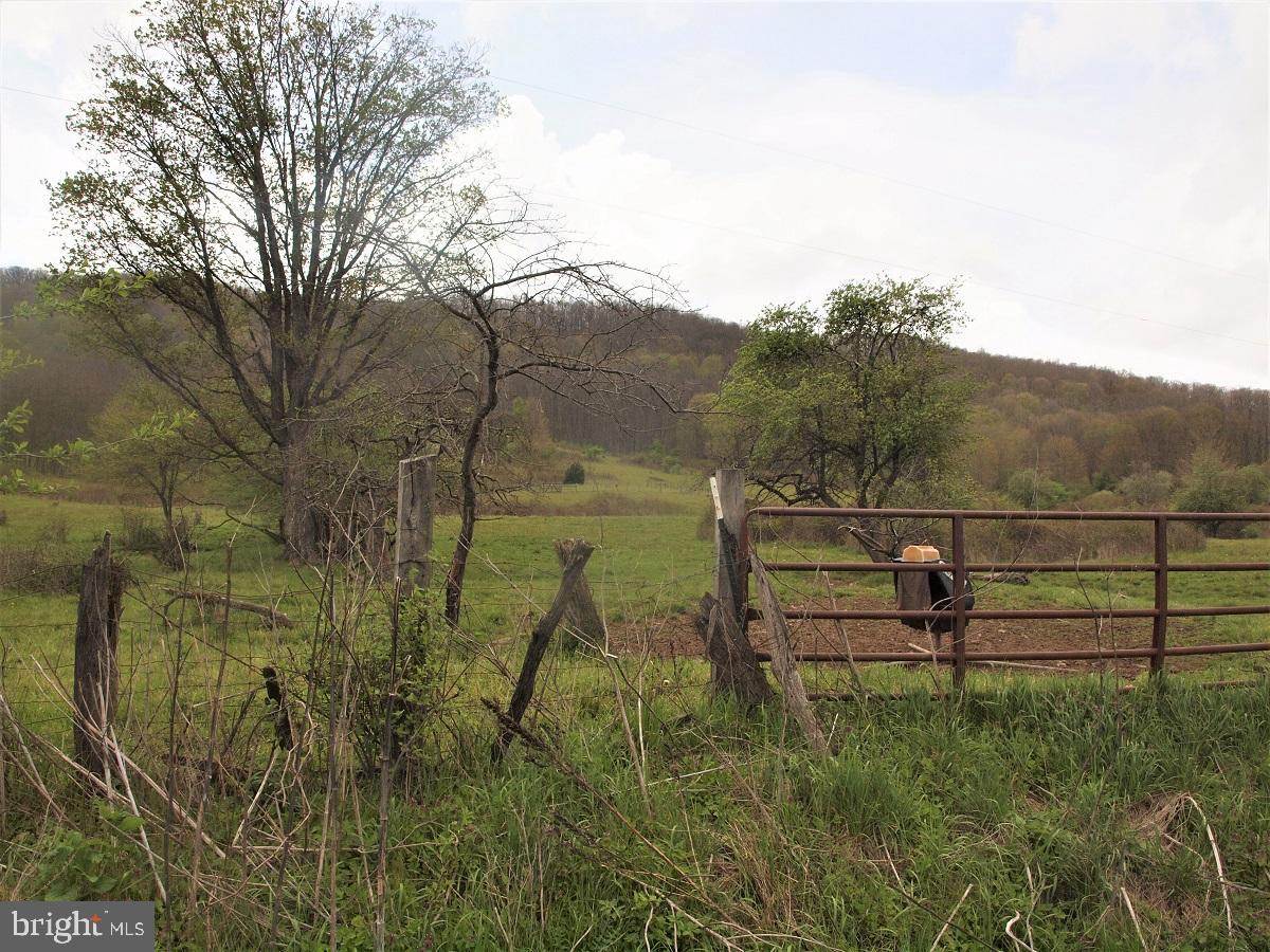 NONE - Farm