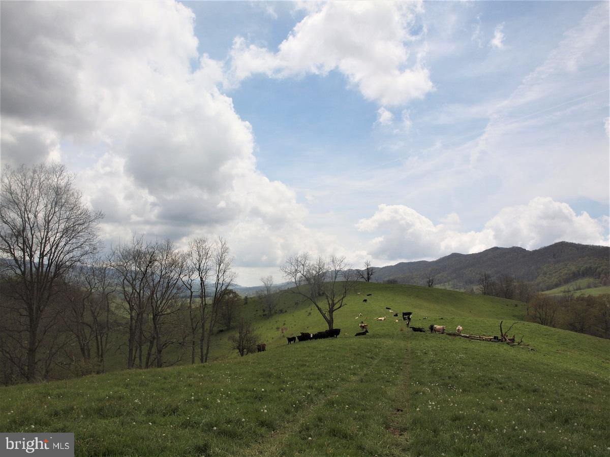 NONE - Farm