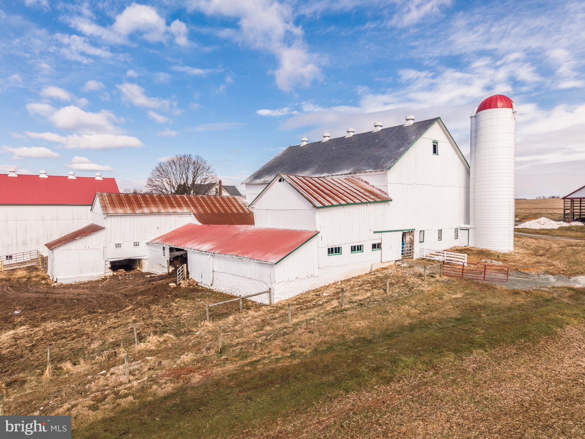 LITTLE BRITAIN - Farm