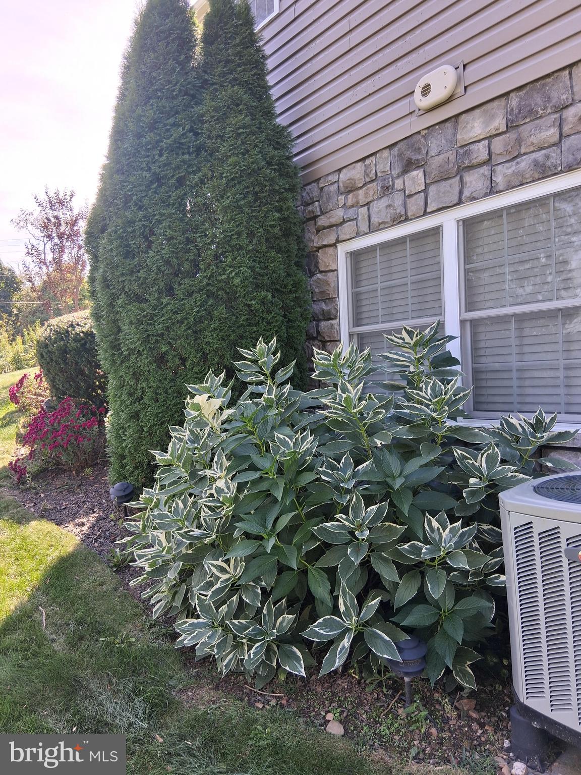 CHENOPODIUM ACRES - Residential