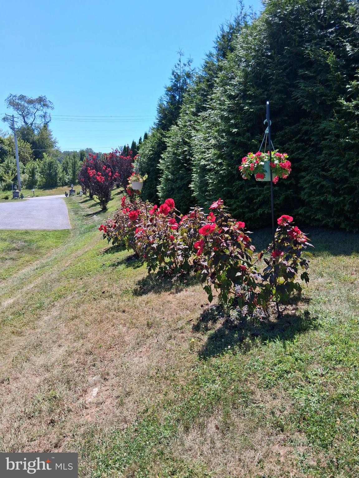 CHENOPODIUM ACRES - Residential