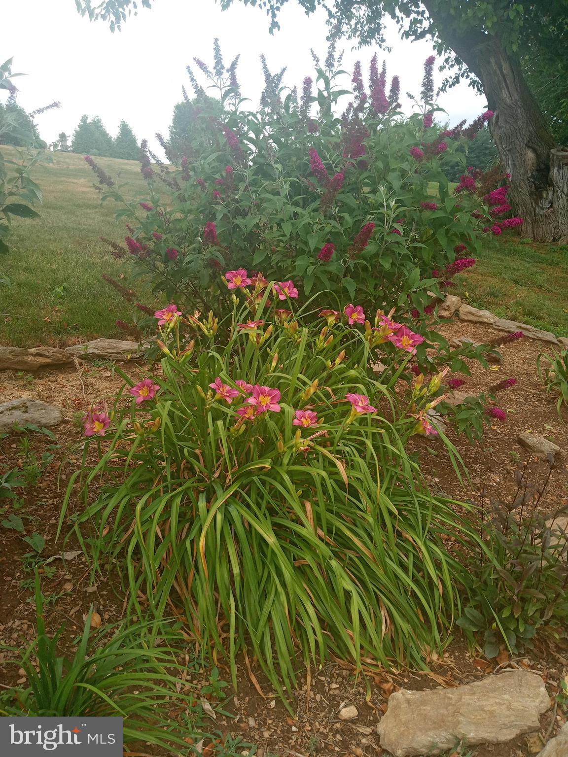 CHENOPODIUM ACRES - Residential