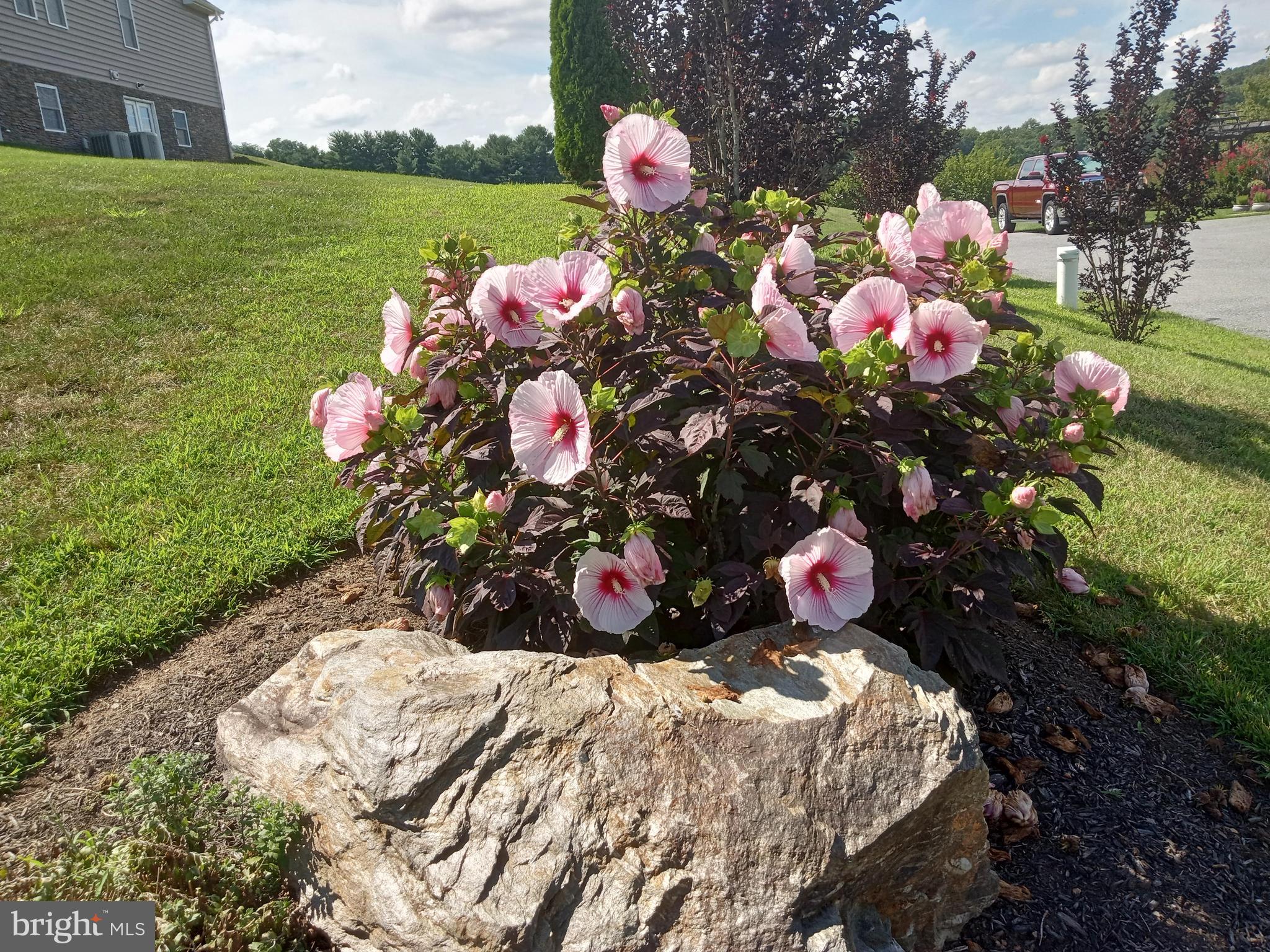 CHENOPODIUM ACRES - Residential
