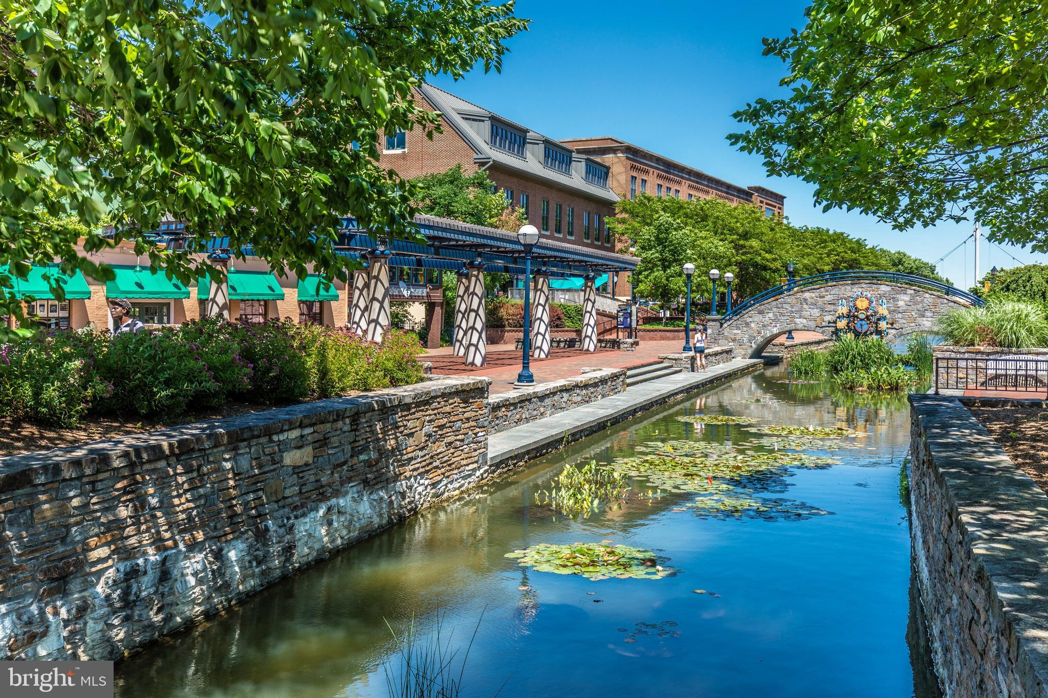 DOWNTOWN FREDERICK - Residential