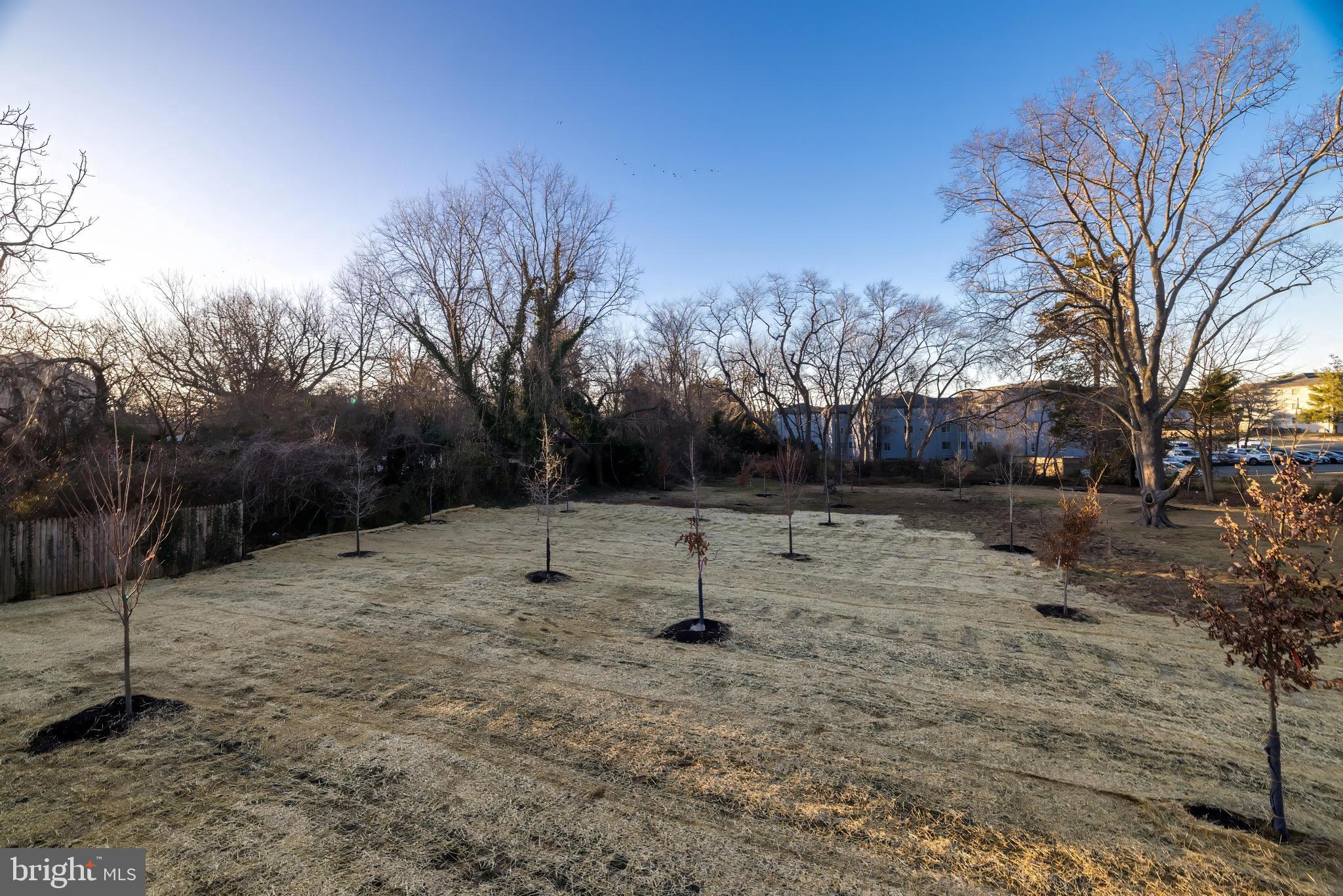 COURTLAND PARK - Residential