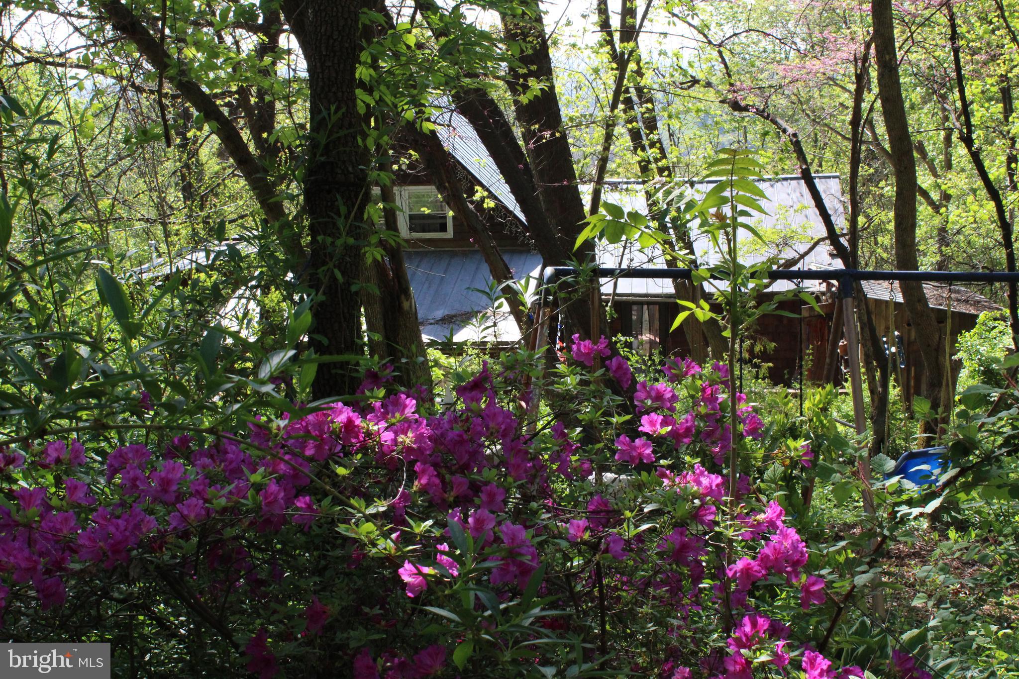 DOGWOOD VALLEY - Residential