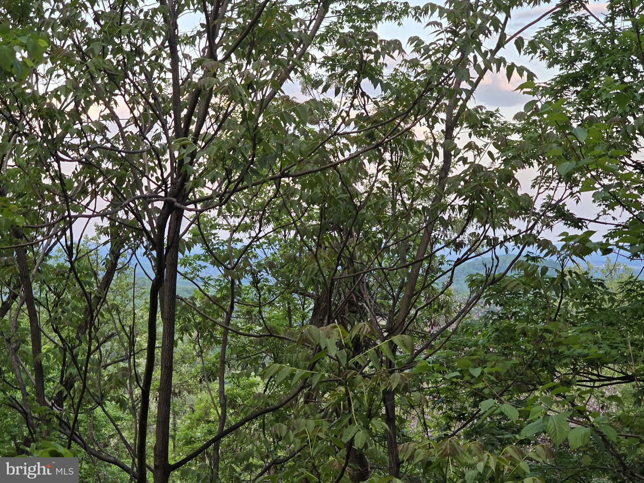 DOGWOOD VALLEY - Residential