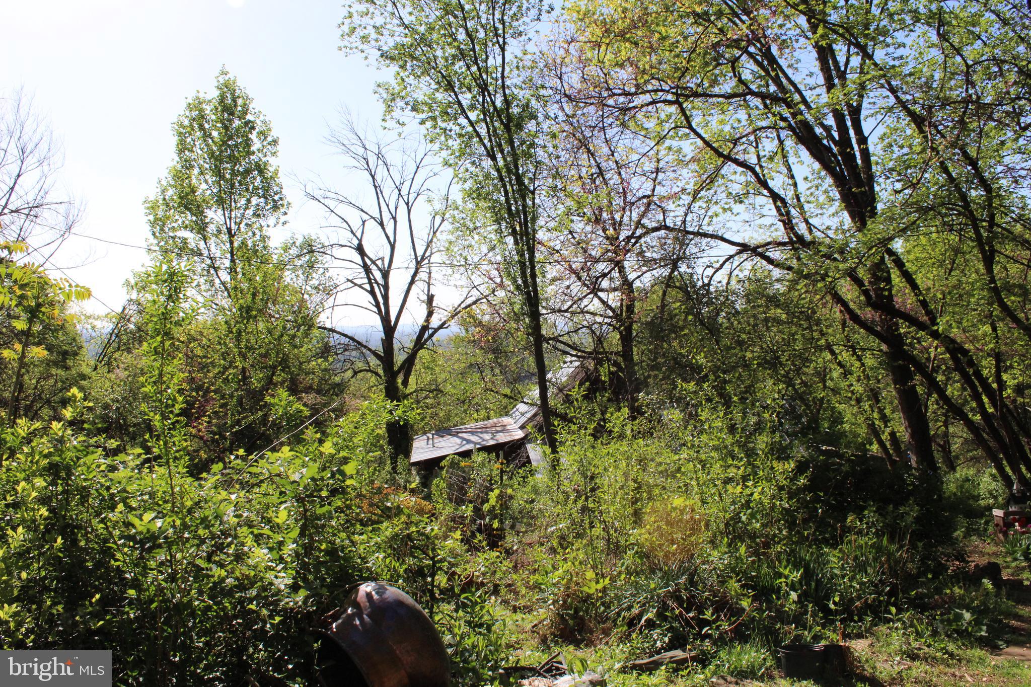 DOGWOOD VALLEY - Residential