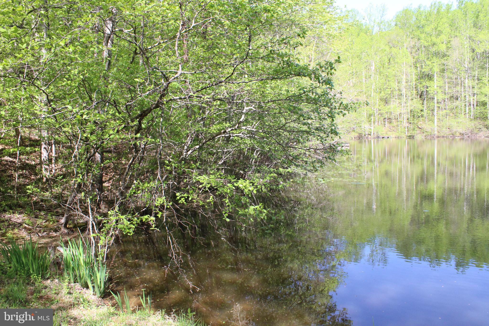 DOGWOOD VALLEY - Residential