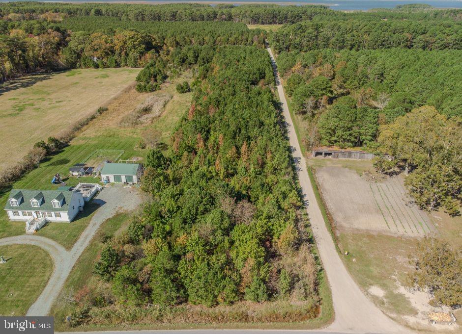 3.29-Acre Residential Lot in Crisfield, MD – A Waterman’s Paradise!  

Discover the charm of Maryland’s Eastern Shore with this 3.29-acre residential lot in Crisfield, a town rich in waterman’s culture and coastal beauty. Nestled among scrub pines, this serene property offers privacy while keeping you close to the best of the area’s outdoor adventures and amenities.  

Enjoy easy access to multiple boat ramps, making it perfect for boating, fishing, and exploring the Chesapeake Bay. Just minutes away, Janes Island State Park offers scenic walking trails, kayak trails, and uninhabited pristine beaches, providing endless opportunities for nature lovers.  

Immerse yourself in local traditions with seasonal festivals at Crisfield’s town dock, where seafood, music, and community spirit come alive. Plus, the property is conveniently located near shops, dining, and essential services, offering a balance of seclusion and accessibility.  

Build your dream home or getaway retreat in this coastal haven—where the beauty of the bay and the charm of small-town living meet!
