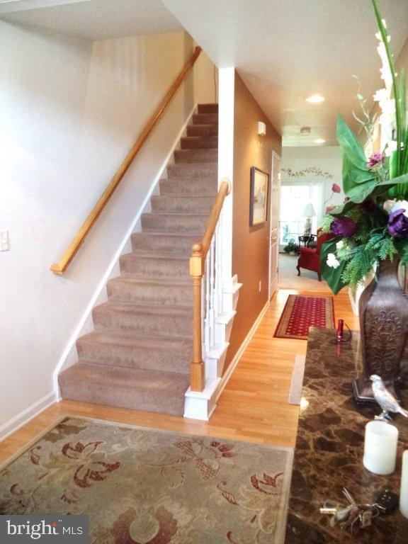 SPRING MEADOWS - Residential
