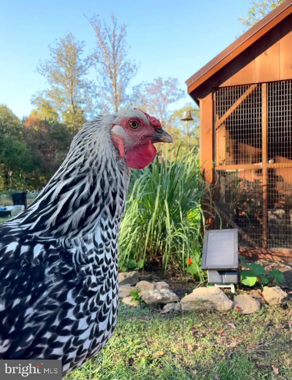 PINEY BRANCH FARMS - Residential