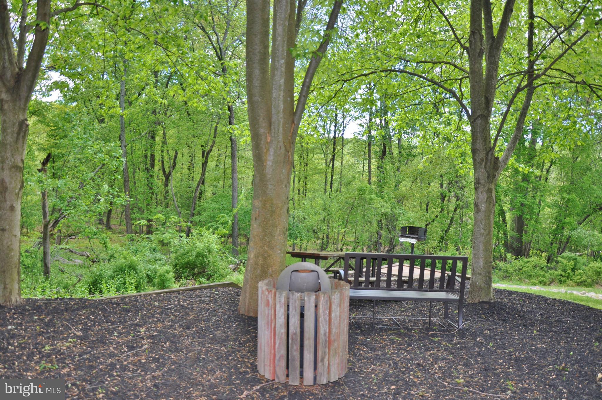 OWINGS MILLS NEW TOWN - Residential