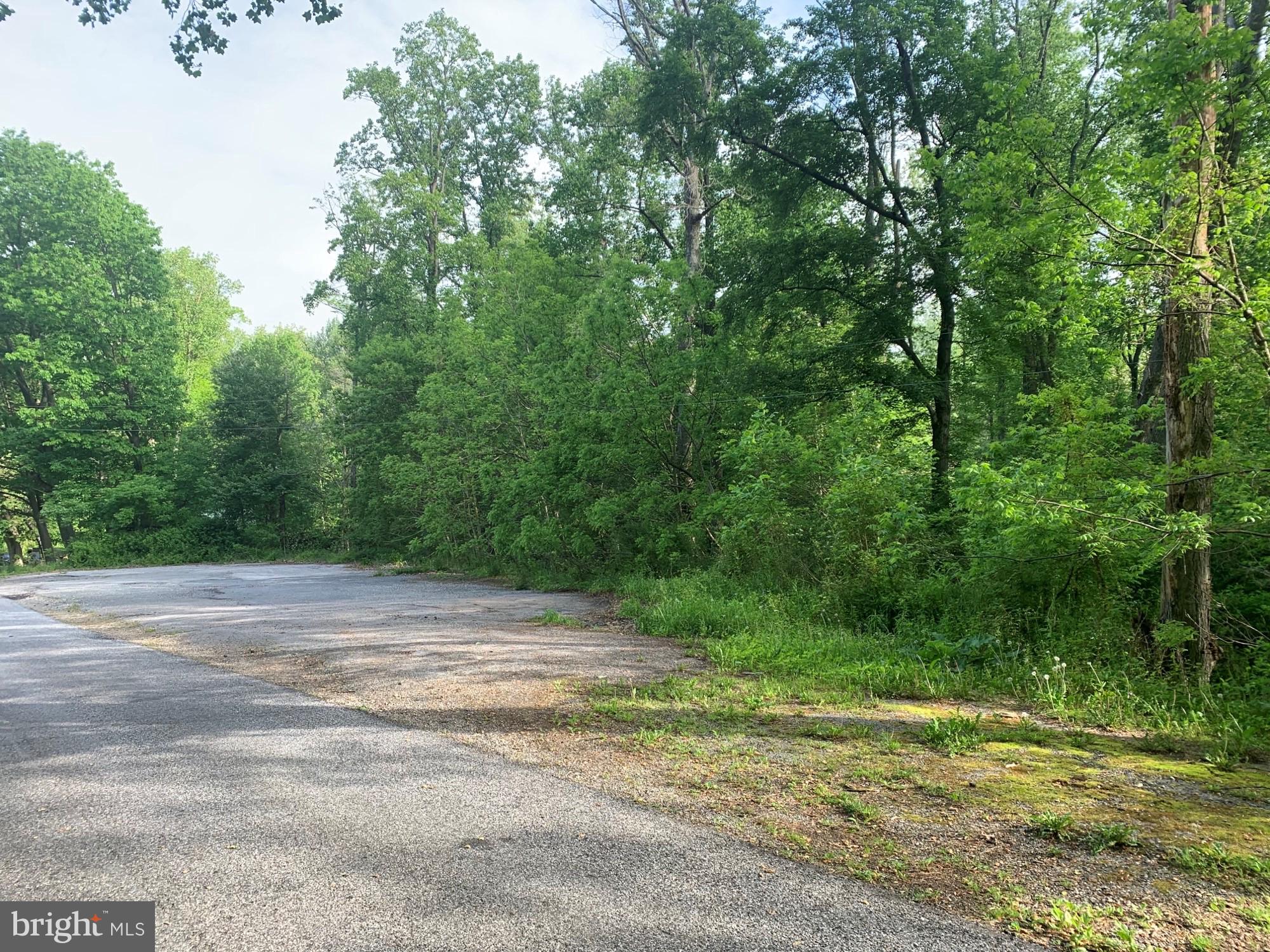 This lot is priced to sell in the southern PA area.  Lot has 300+ feet of road frontage with many options.  Build your home or possibly use the building right for another location and have this for other opportunities. Call agent for details