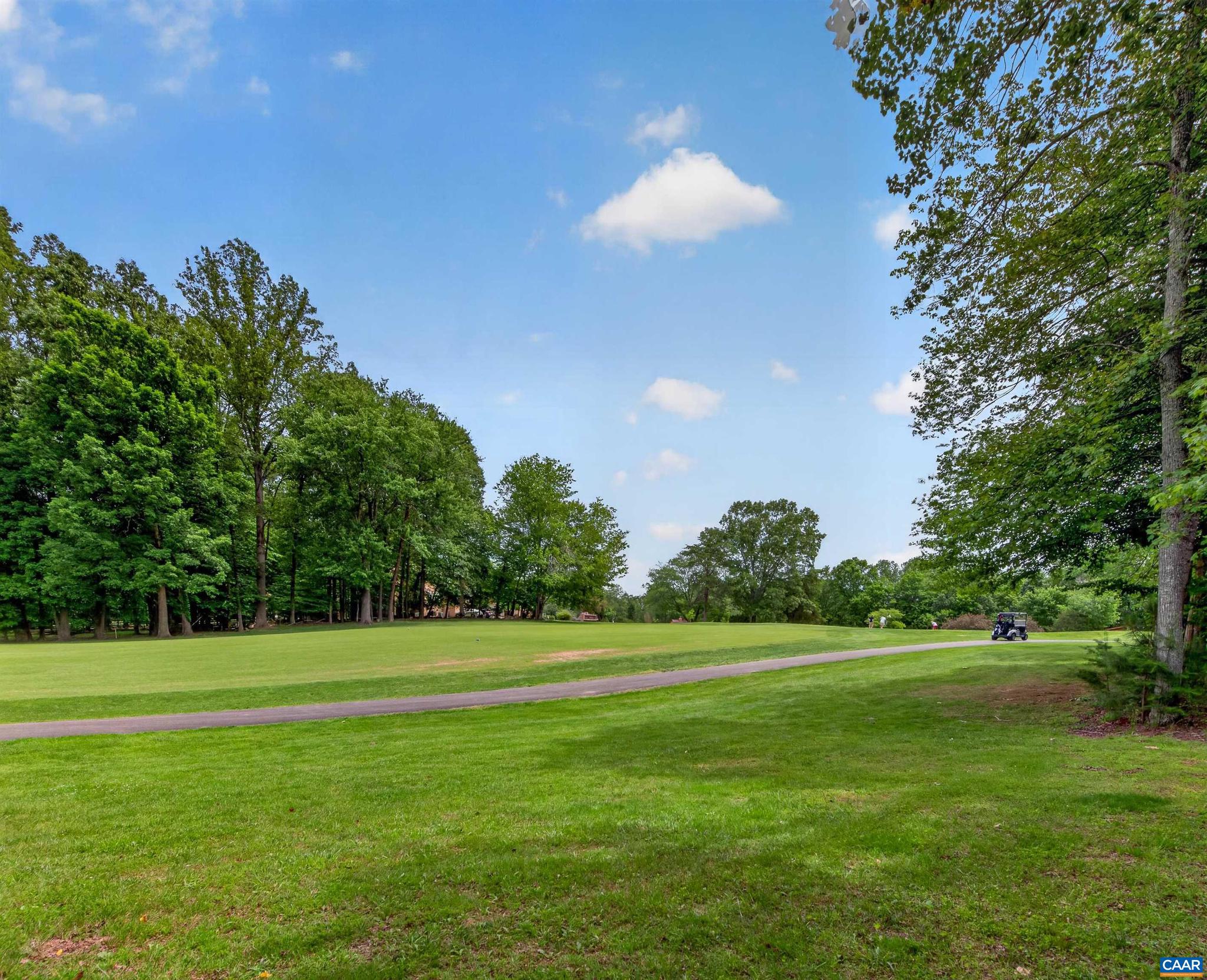 LAKE MONTICELLO - Residential