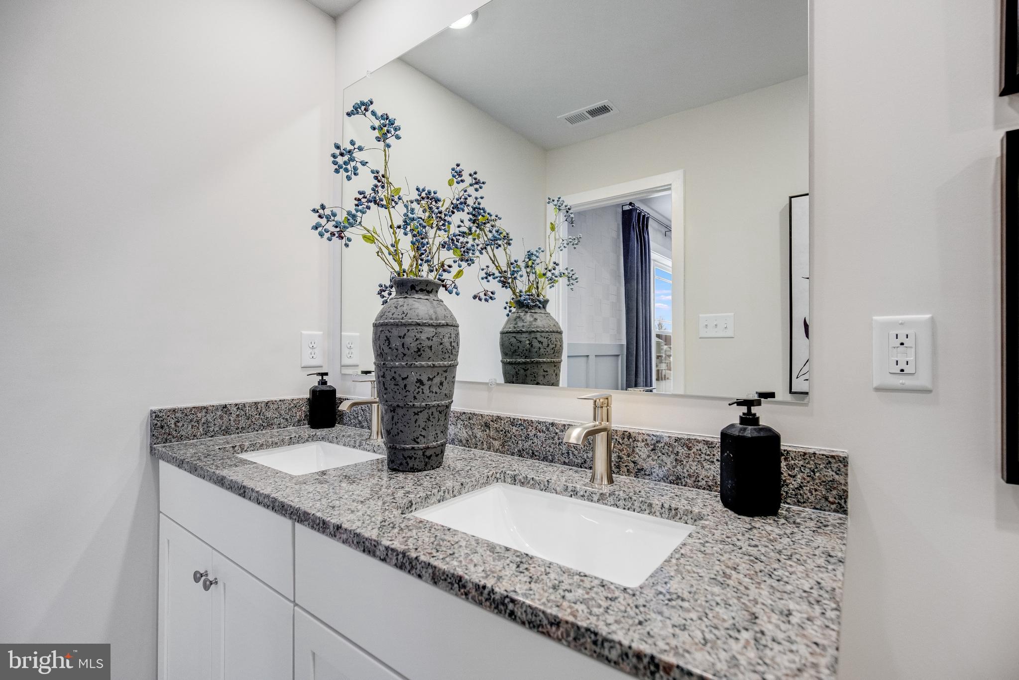 LAKESIDE AT TRAPPE - Residential