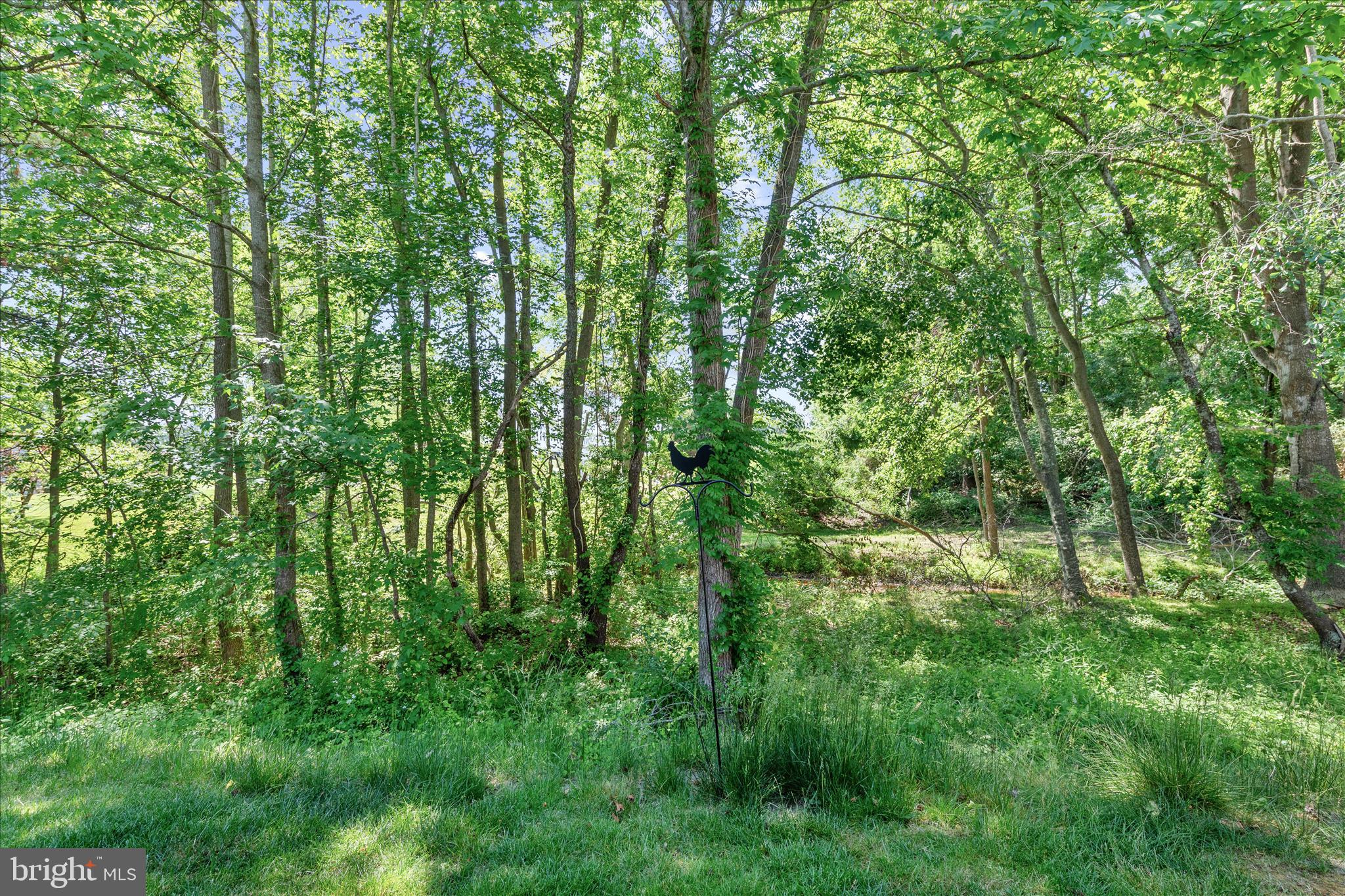 WOODLANDS OF PEPPER CREEK - Residential