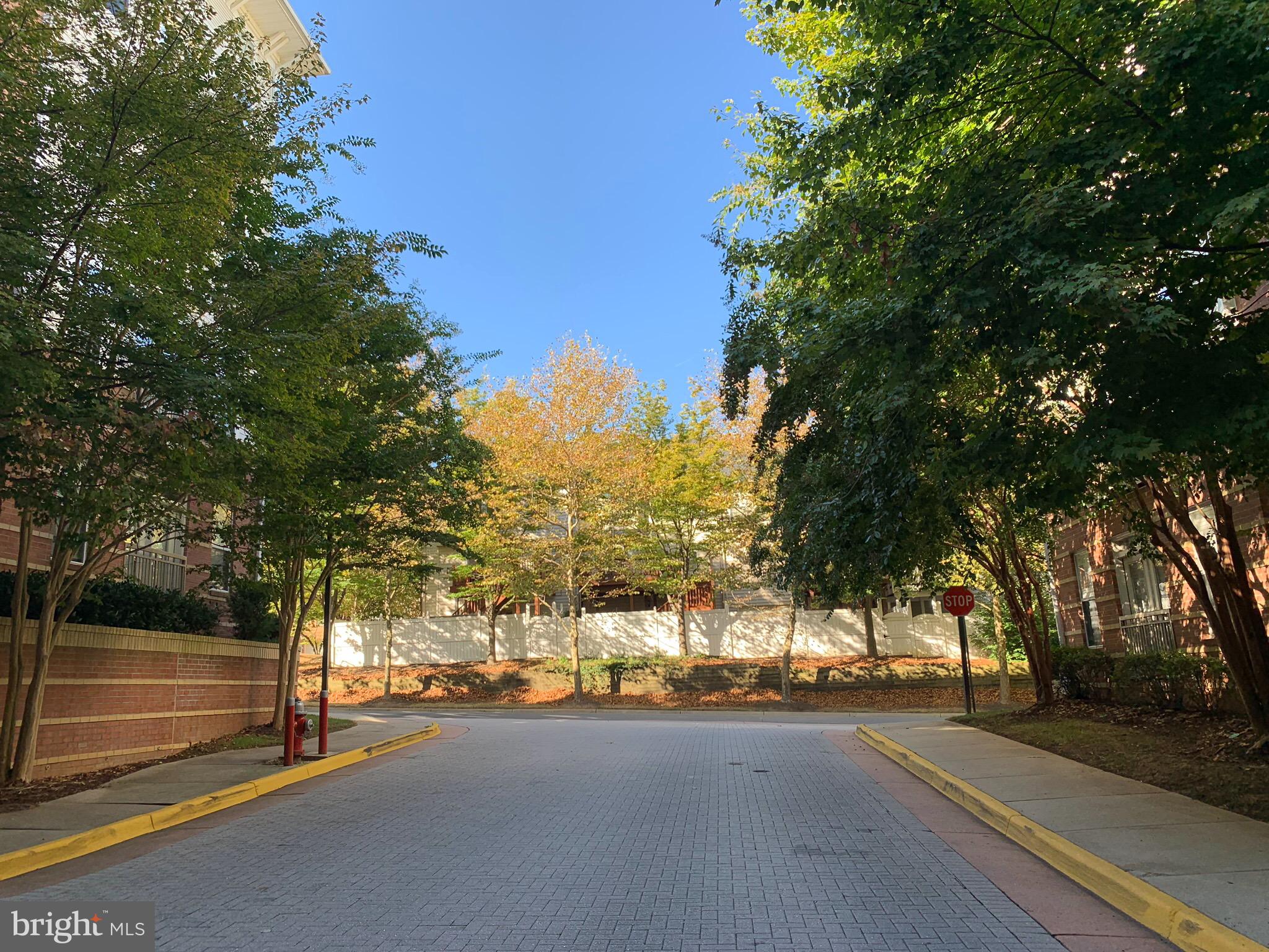 MARQUIS AT VIENNA STATION - Residential