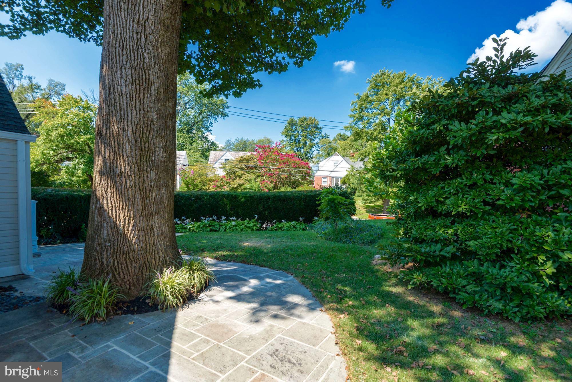 SILVER SPRING - Residential