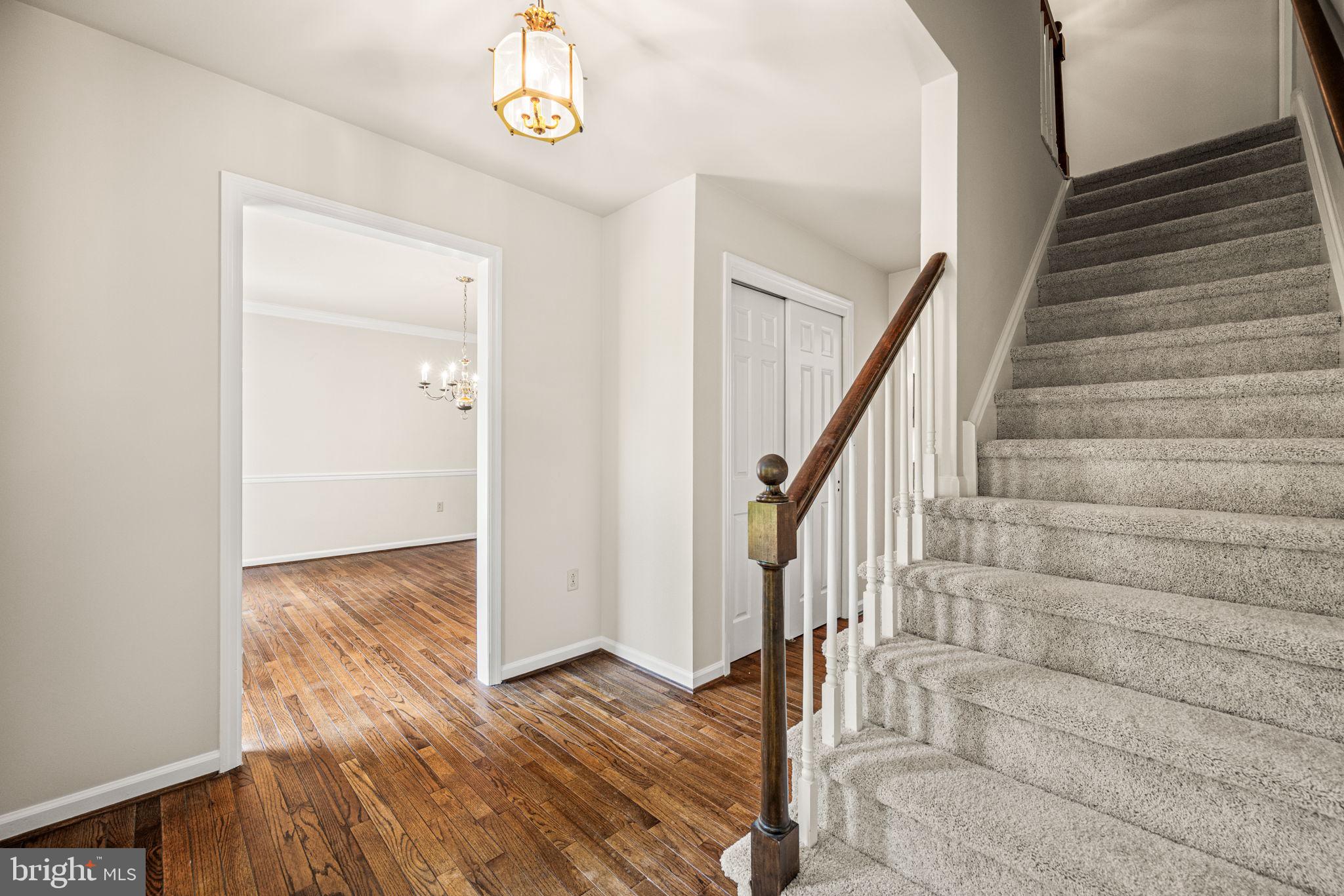 BOW TREE - Residential