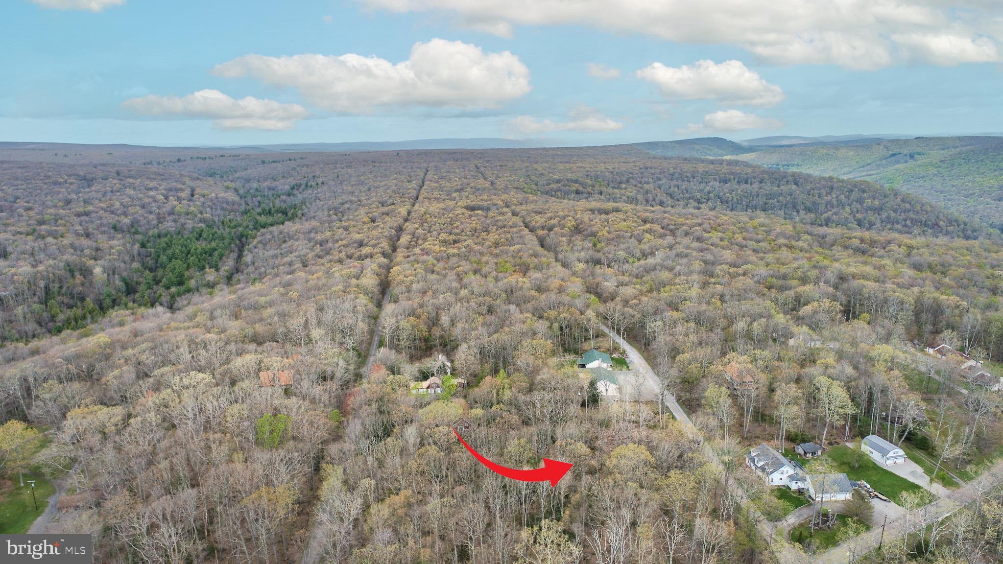 PINEY MOUNTAIN CORP - Land