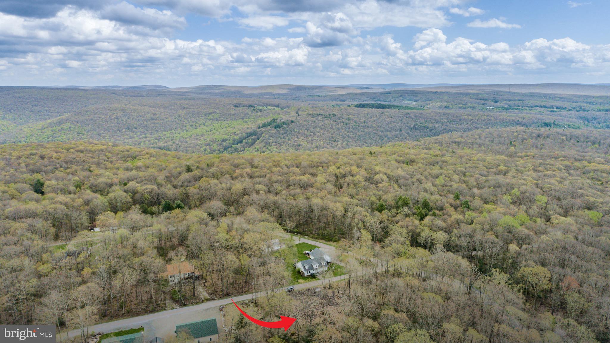 PINEY MOUNTAIN CORP - Land