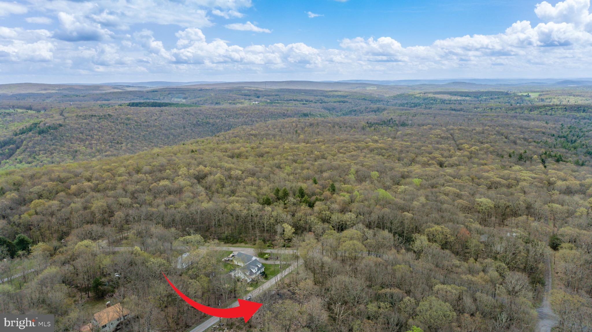 PINEY MOUNTAIN CORP - Land
