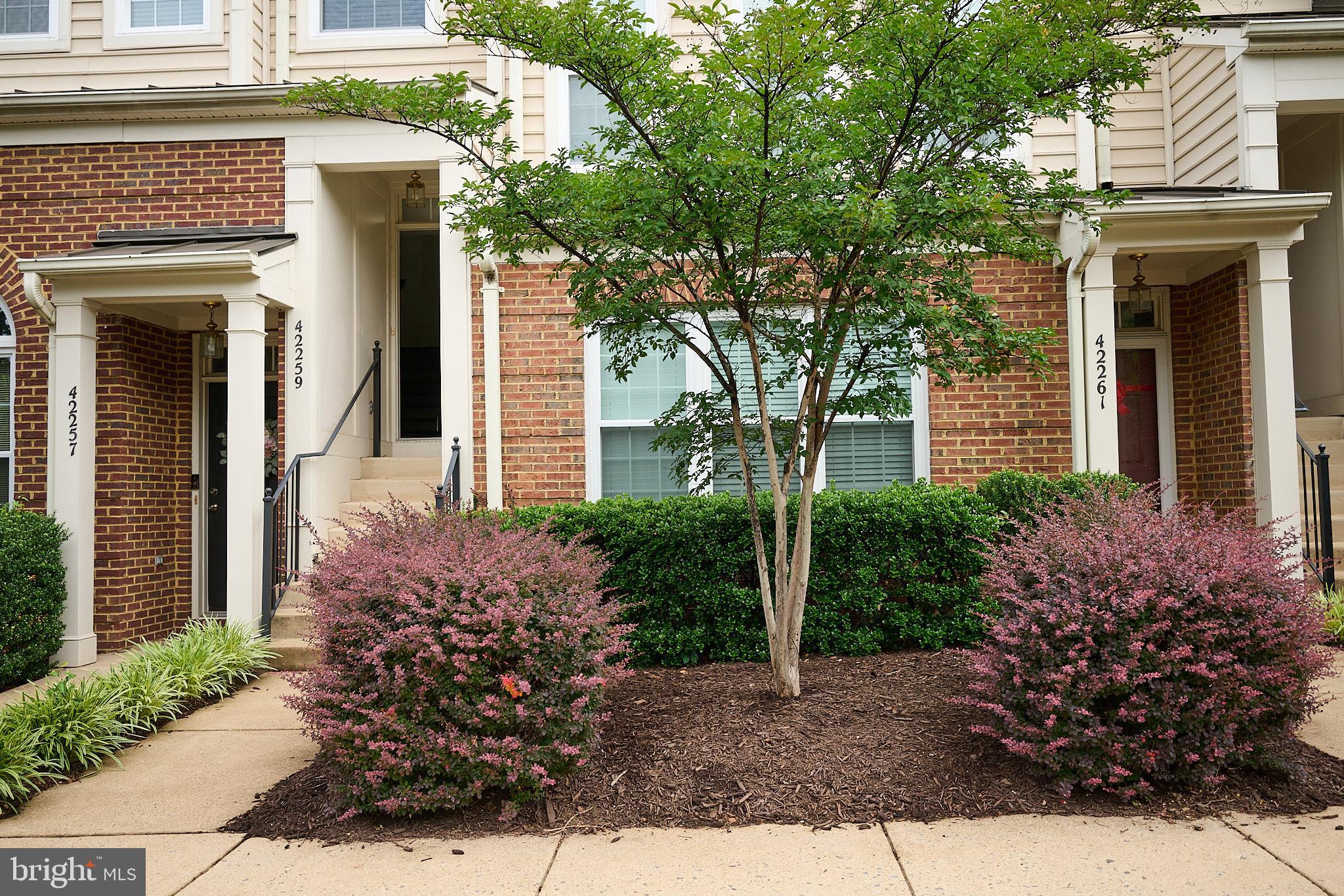 AMBER SPRING CONDOMINIUMS - Residential