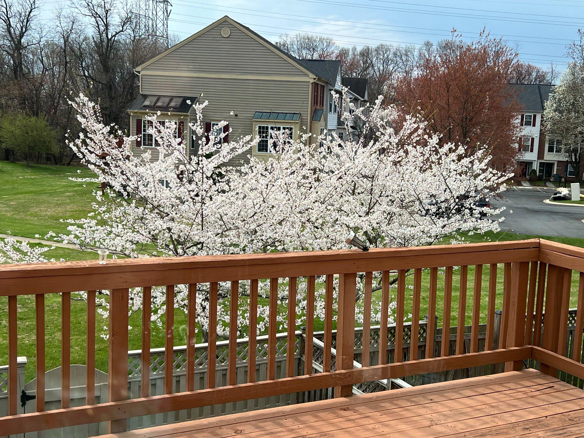 RIDGEFIELD - Residential
