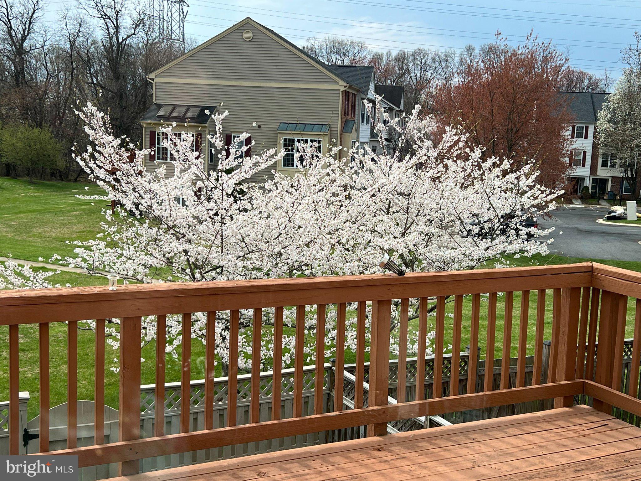 RIDGEFIELD - Residential