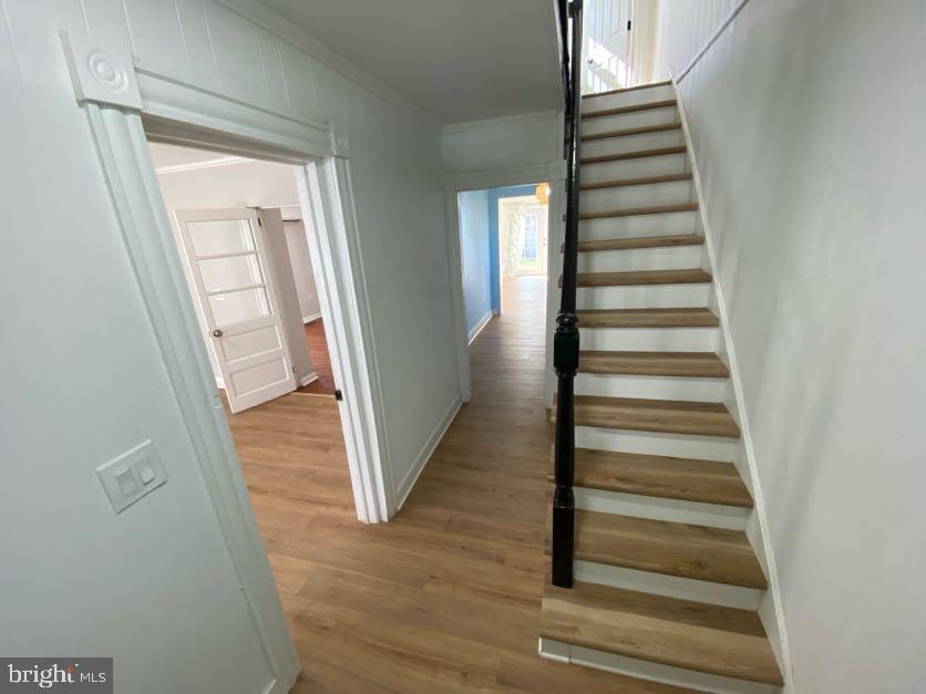 DOWNTOWN FREDERICKSBURG - Residential Lease