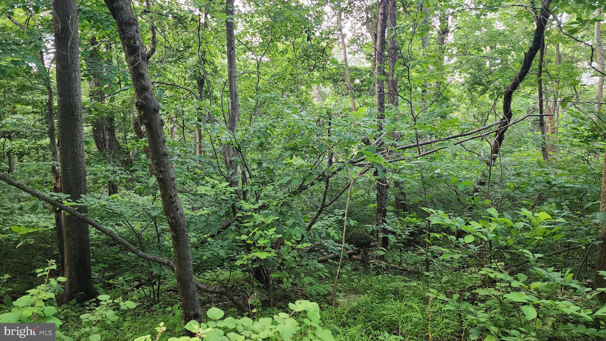 RANCH SECTION - Land