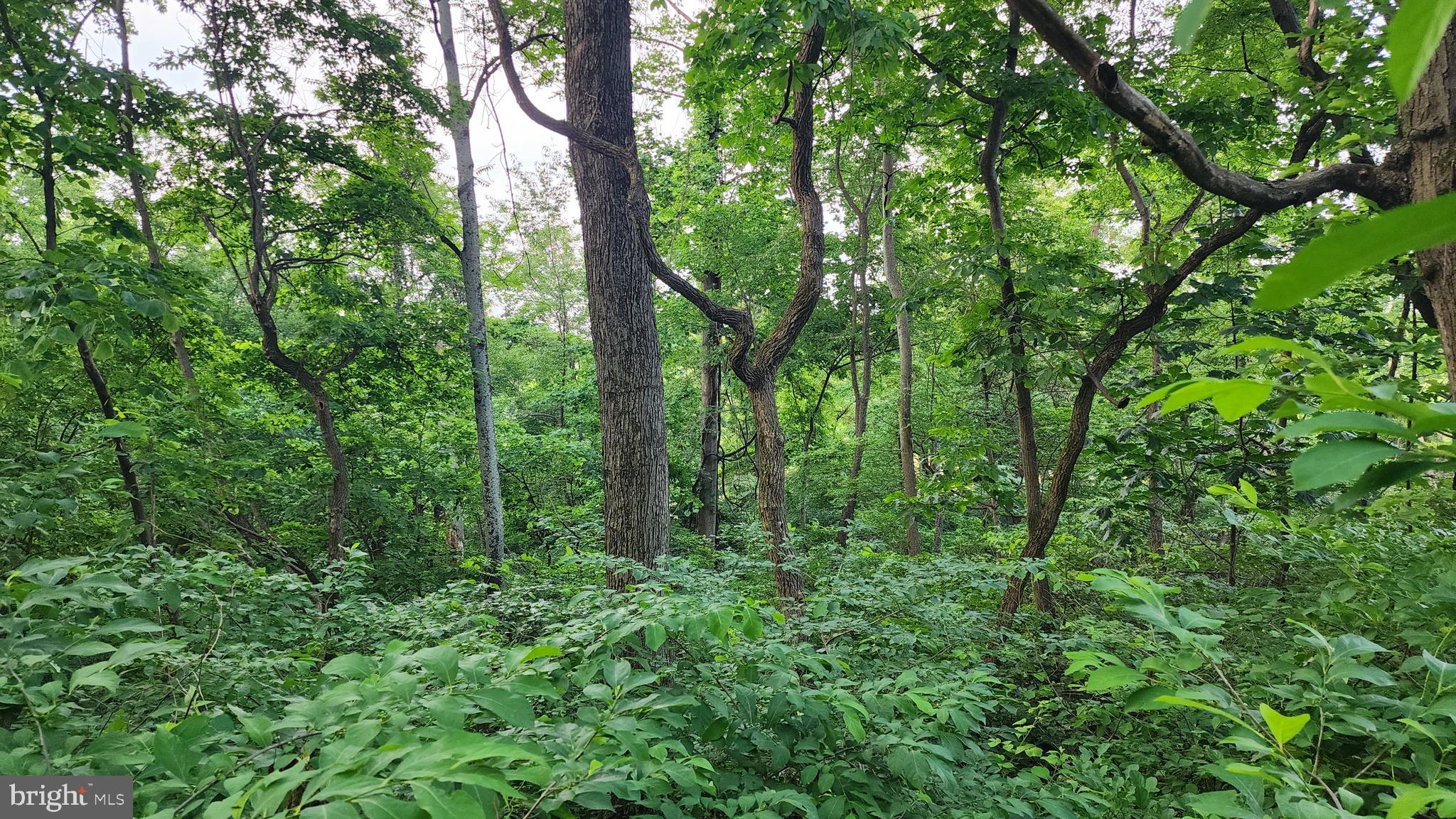 RANCH SECTION - Land
