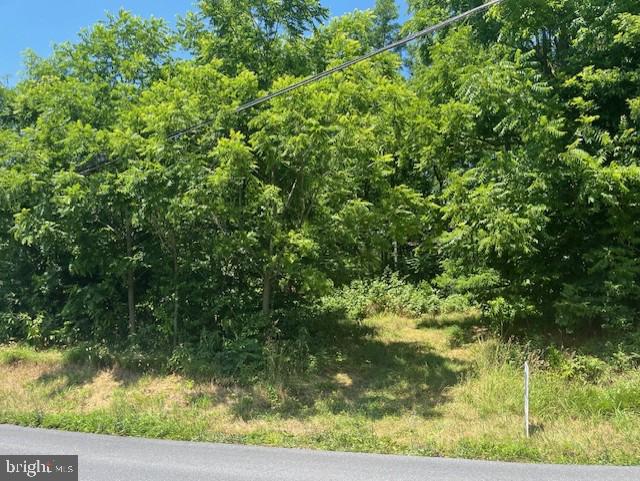 4.08 Acres of wooded land ready to for you to bring your builder. Satisfactory Perc test completed June 2024. Buyer will need to have a well drilled. There is standing timber that could be harvested.