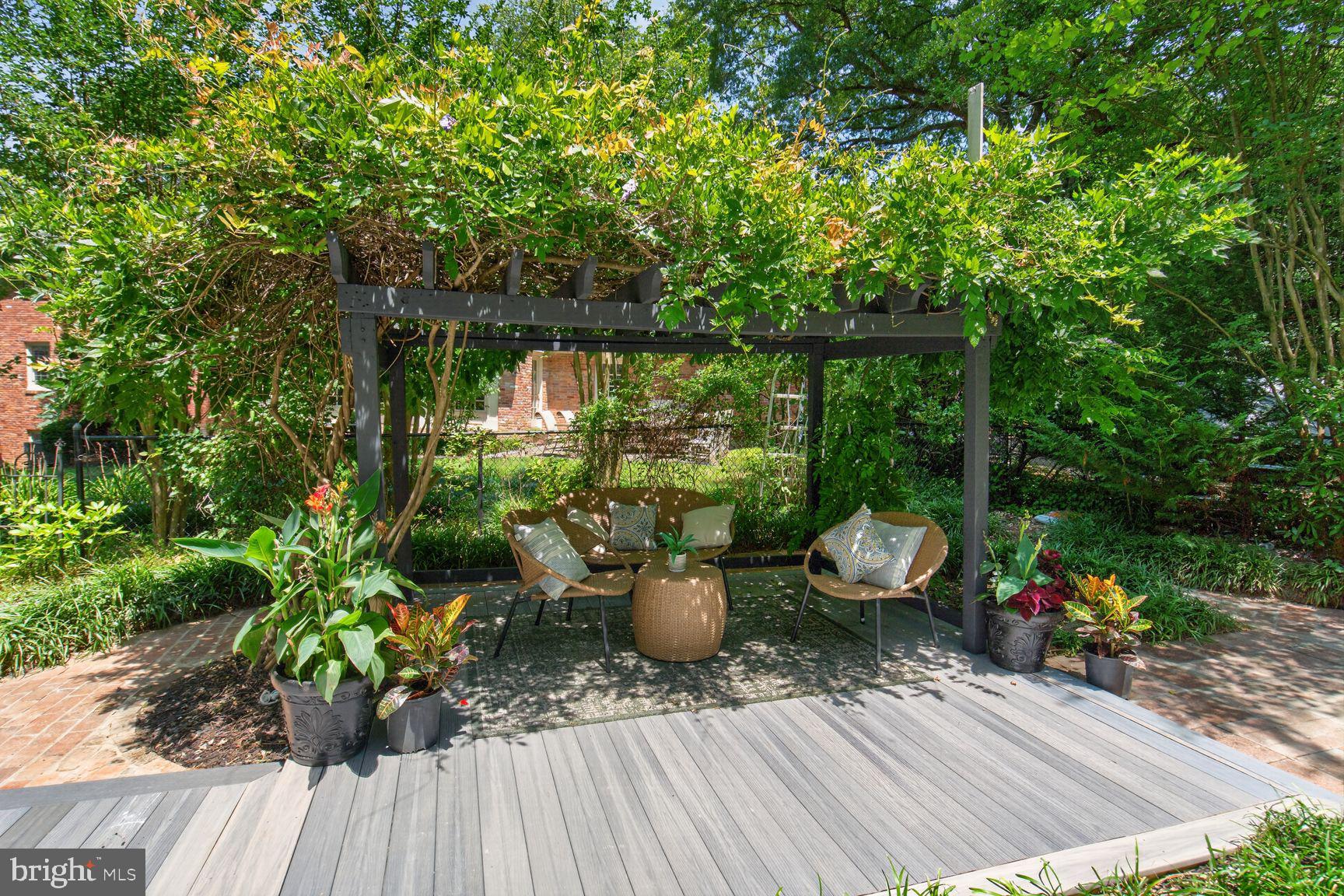 CHAIN BRIDGE FOREST - Residential