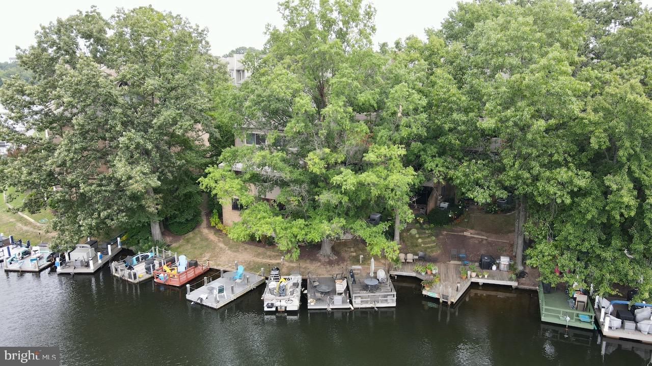 HARBOR POINT - Residential Lease