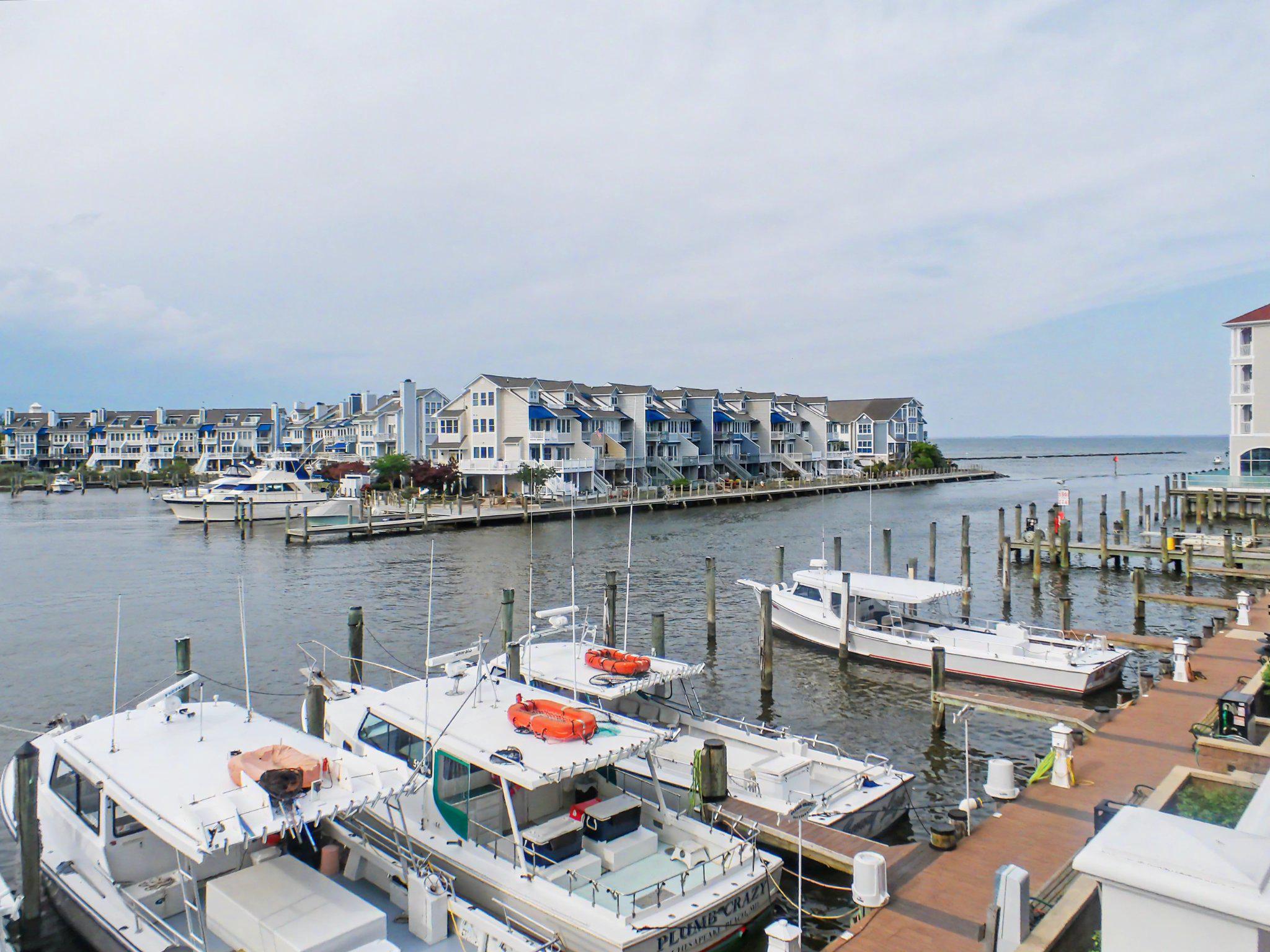 CHESAPEAKE VILLAGE - Residential