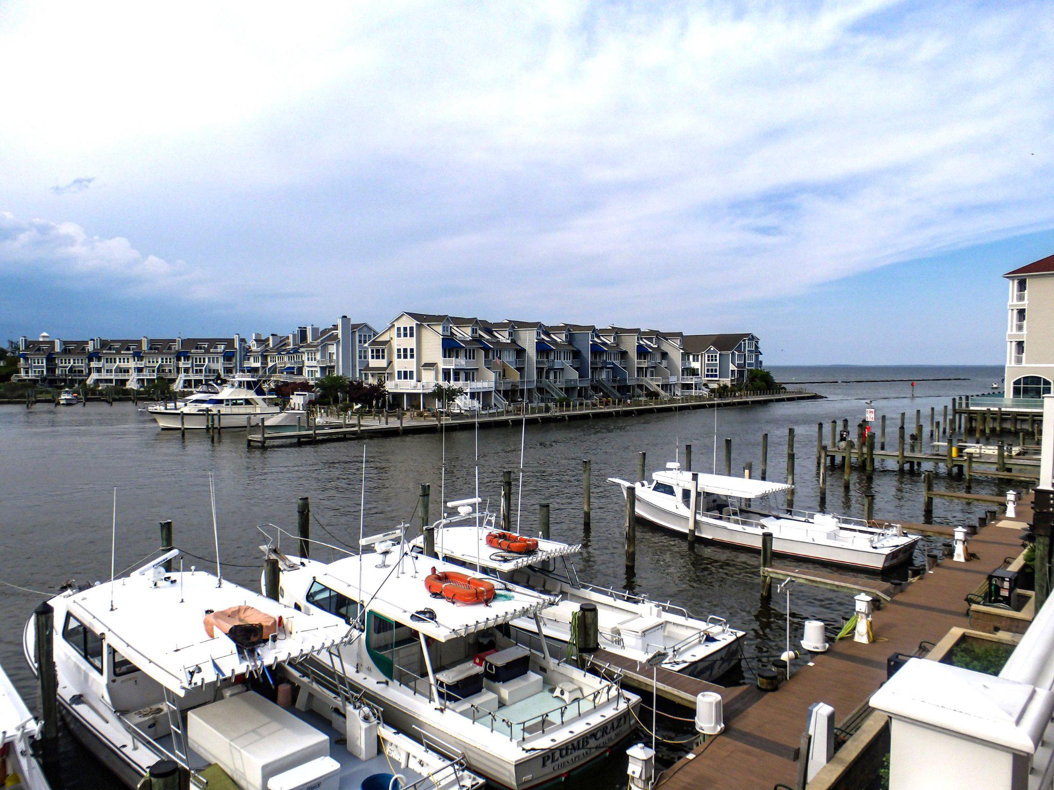 CHESAPEAKE VILLAGE - Residential