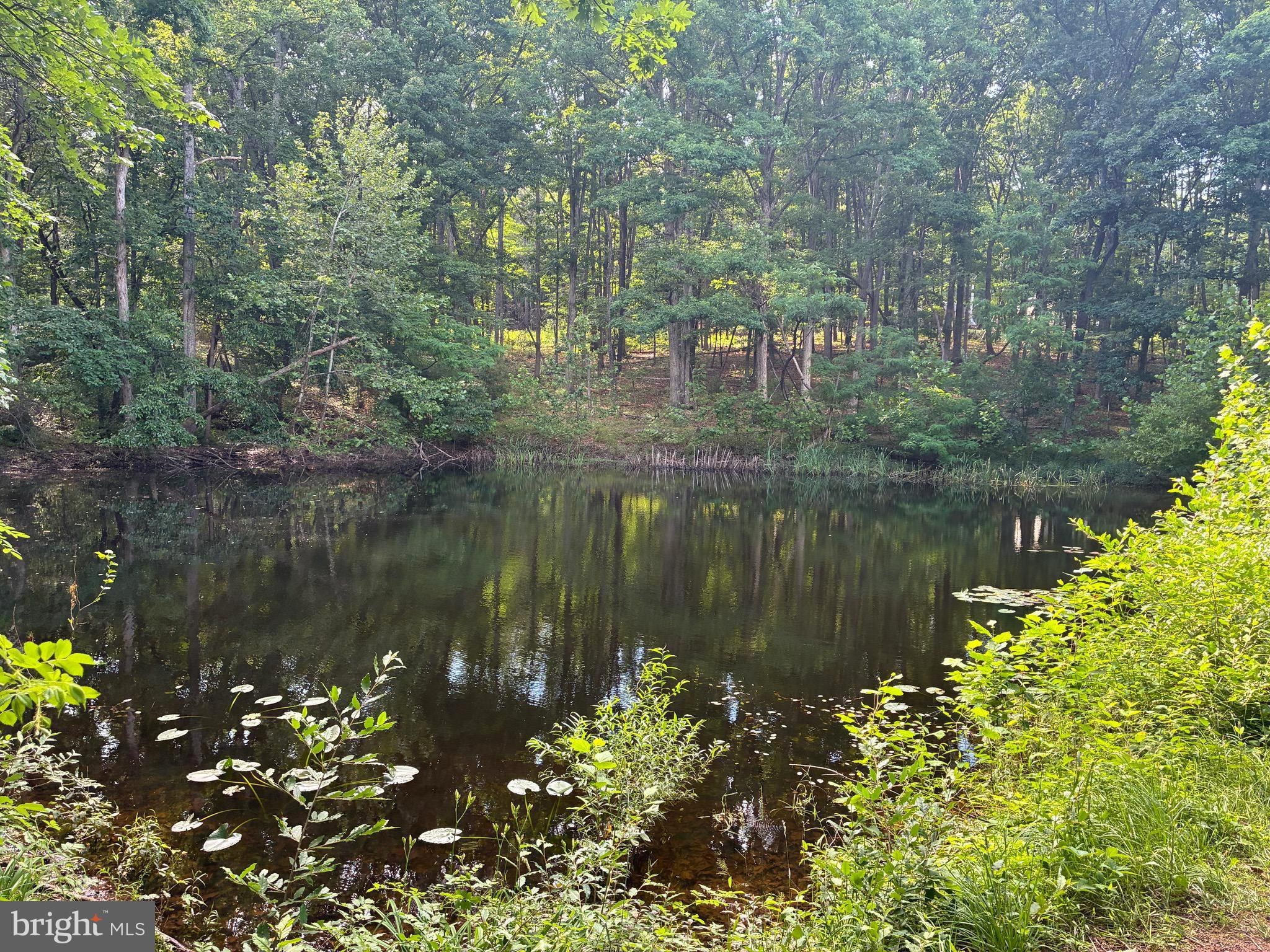 QUAKER WOODS - Residential