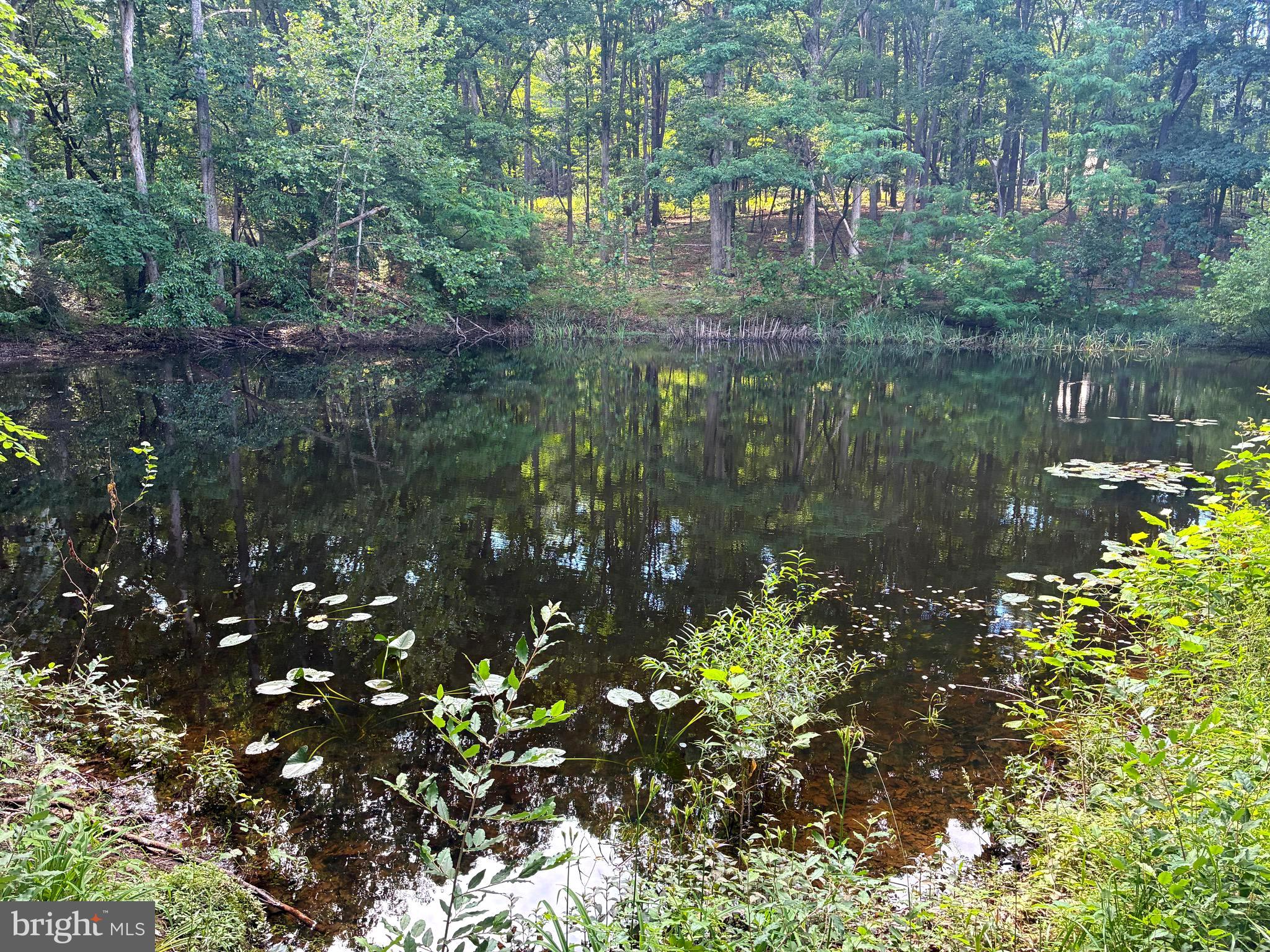 QUAKER WOODS - Residential