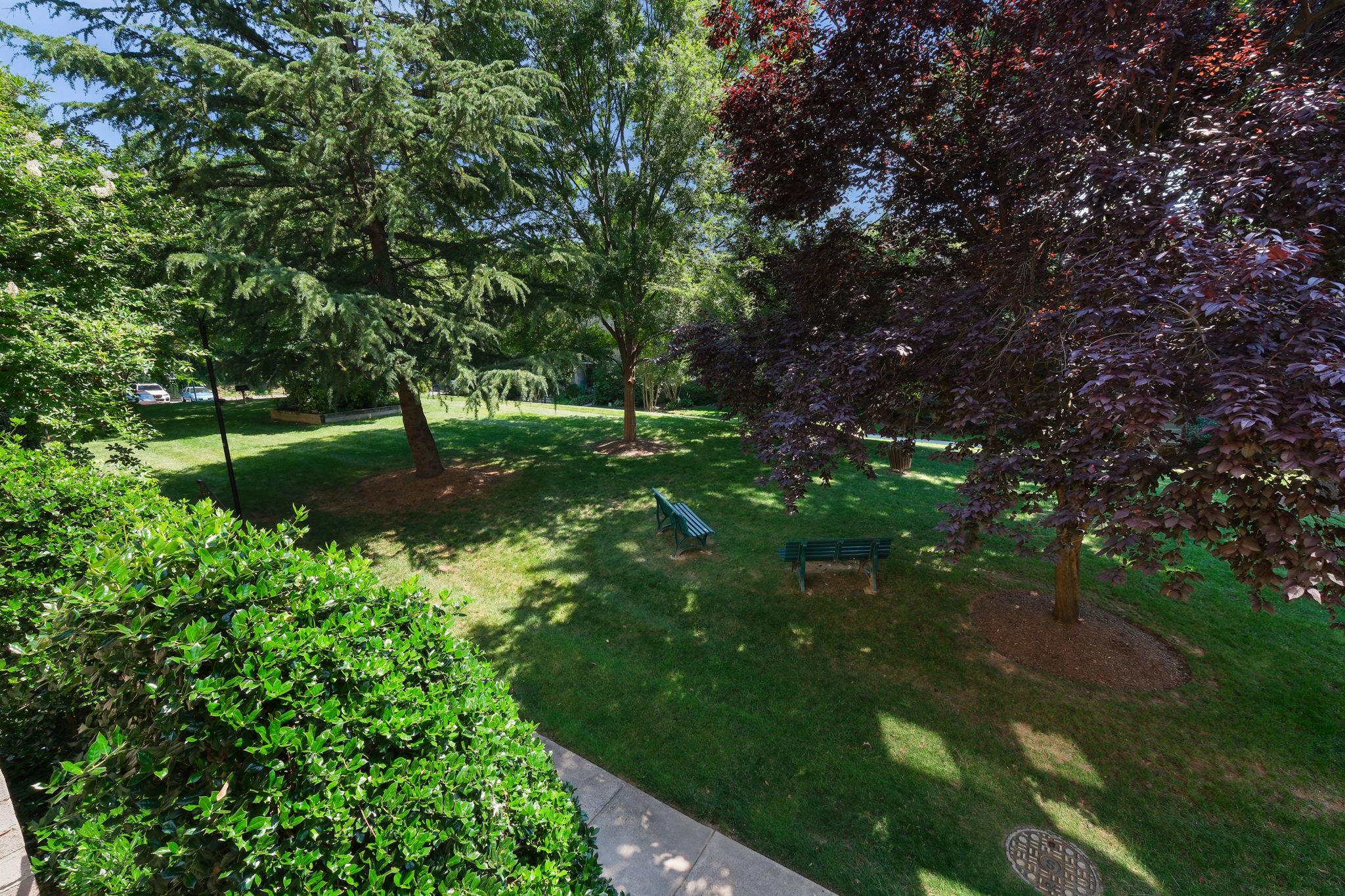 HYDE PARK - Residential