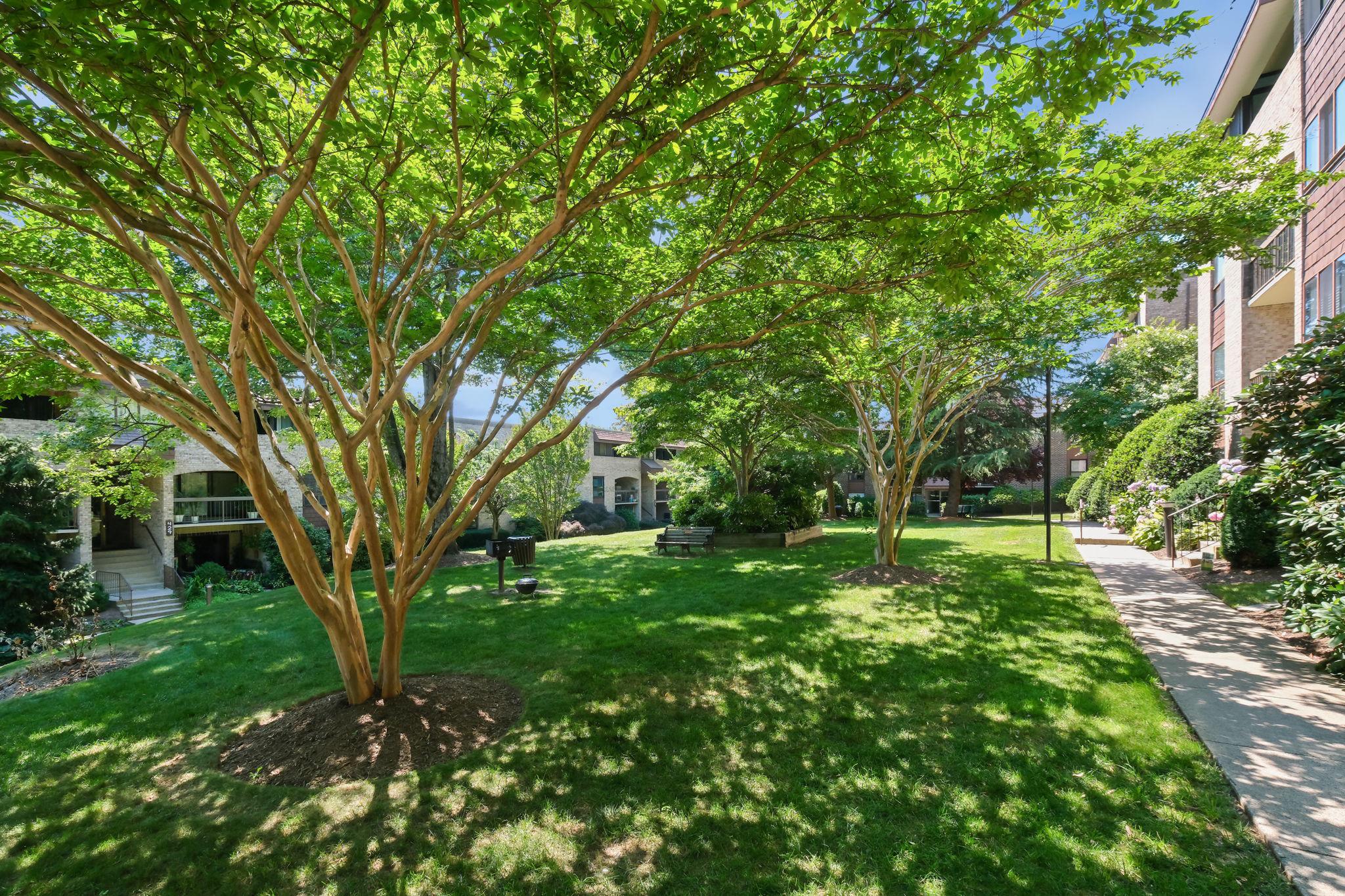 HYDE PARK - Residential