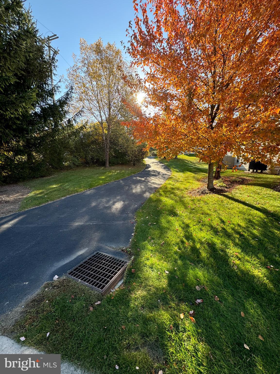 SPRINGFIELD COMMONS - Residential