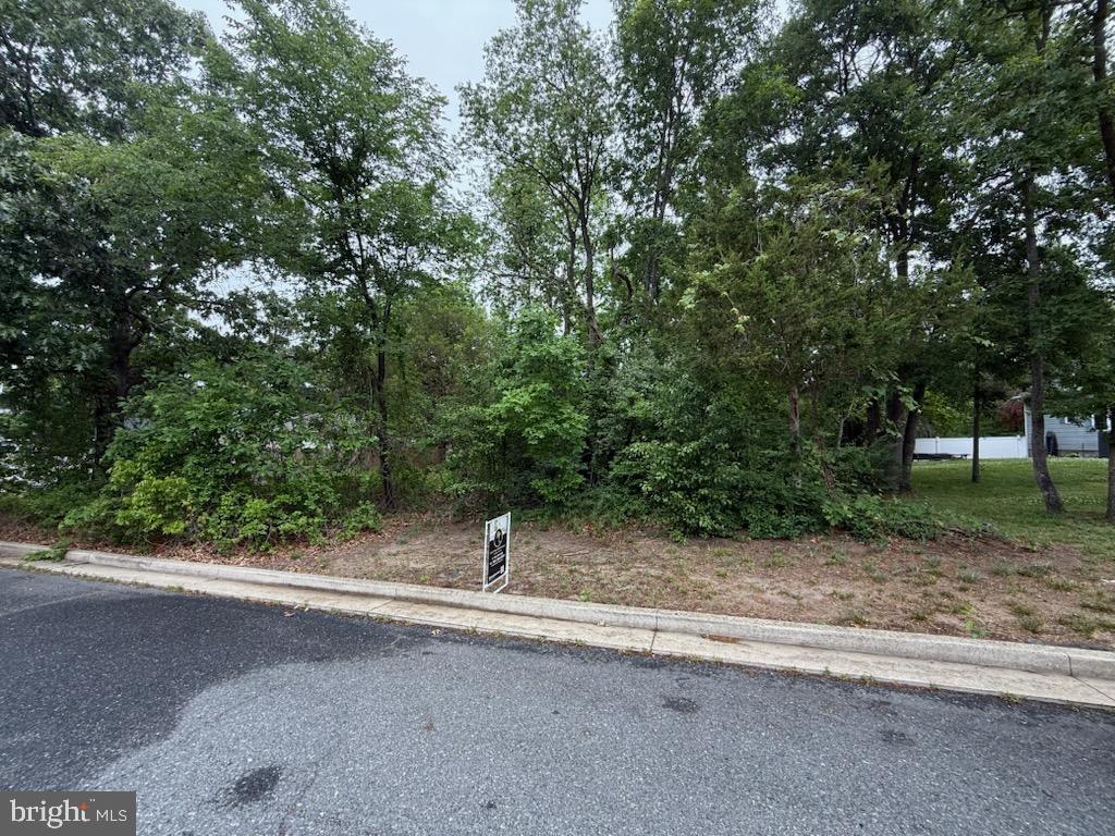 Build your dream home in the heart of Federalsburg! This approximately 0.28-acre residential lot is located within town limits and is zoned R-1 Single Family Residential. Public water and public sewer are available, offering a great opportunity for new construction in an established community. Conveniently located near local parks, schools, shopping, dining, and major commuter routes. Whether you're looking to build your primary residence or invest in future development, this property offers endless potential. Buyers are encouraged to verify all zoning, utility connection requirements, and building plans with the Town of Federalsburg and Caroline County.